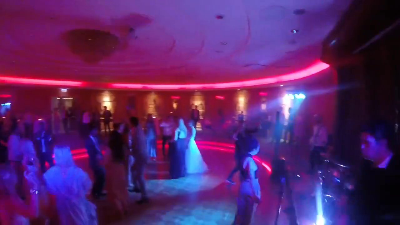 The Puppets - Wedding in Bologna - video