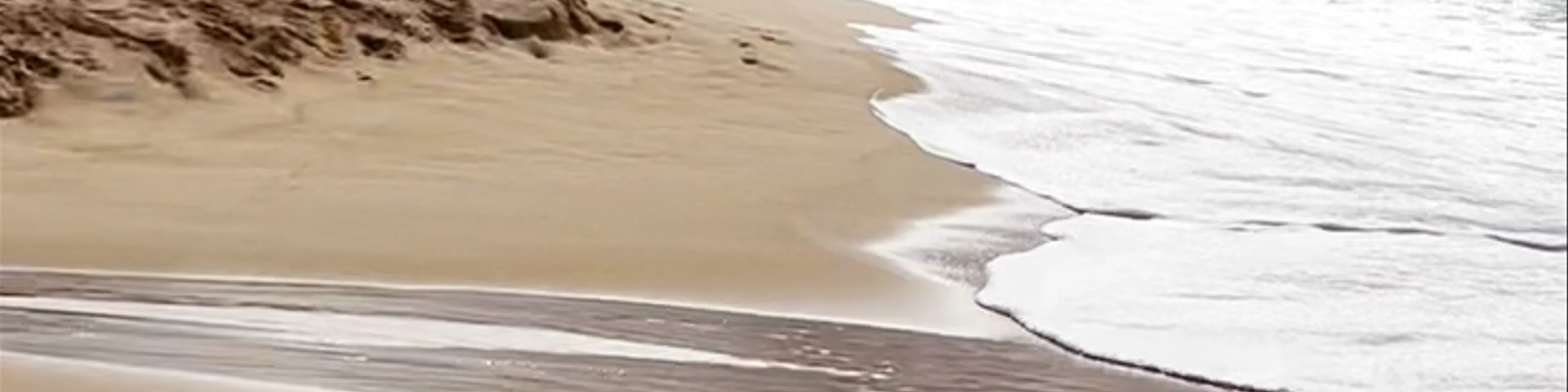 Macmasters Beach