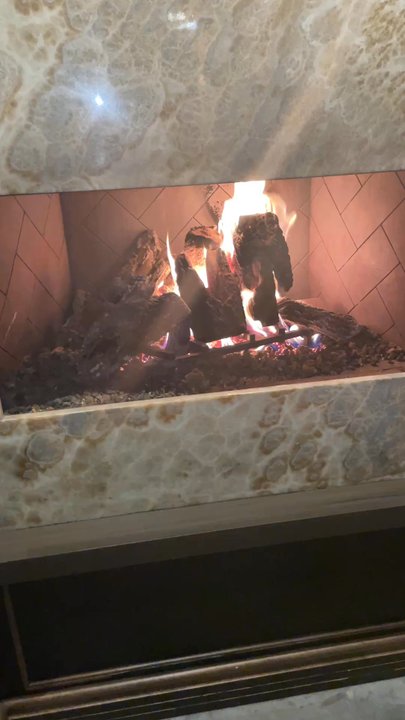 Ananda - Fireplace - Indian Near Me - Fulton, Maryland