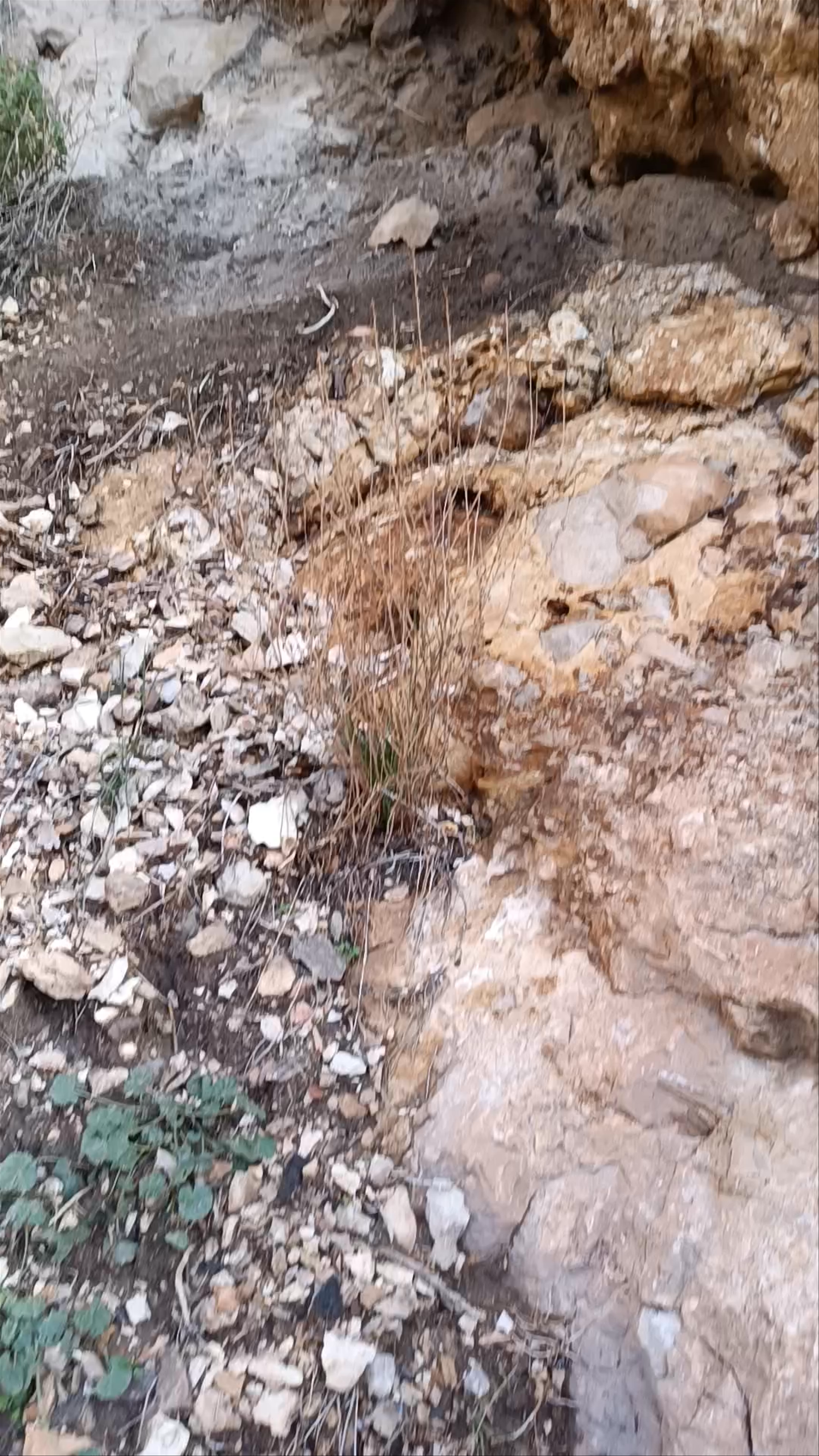 Cueva de la Serreta