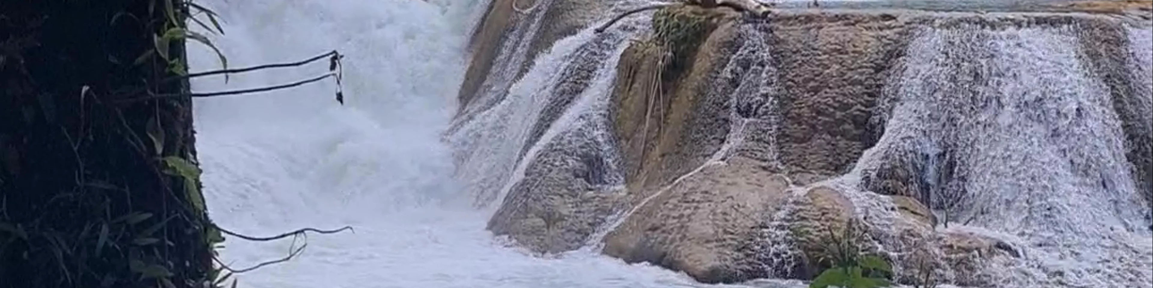Cascadas de Agua Azul