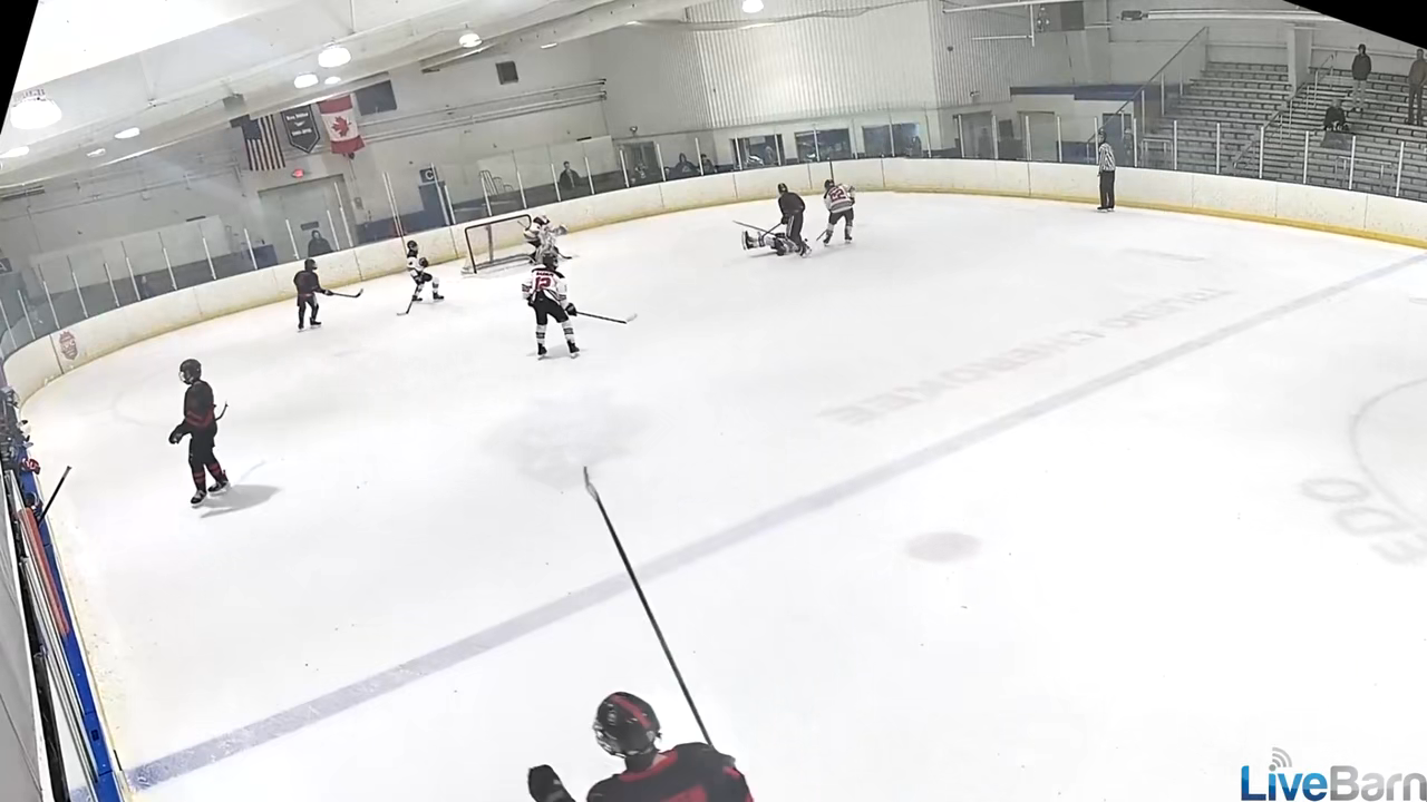 Samuel Ettinger: Dazzling Assist After Stealing Puck in Key Play