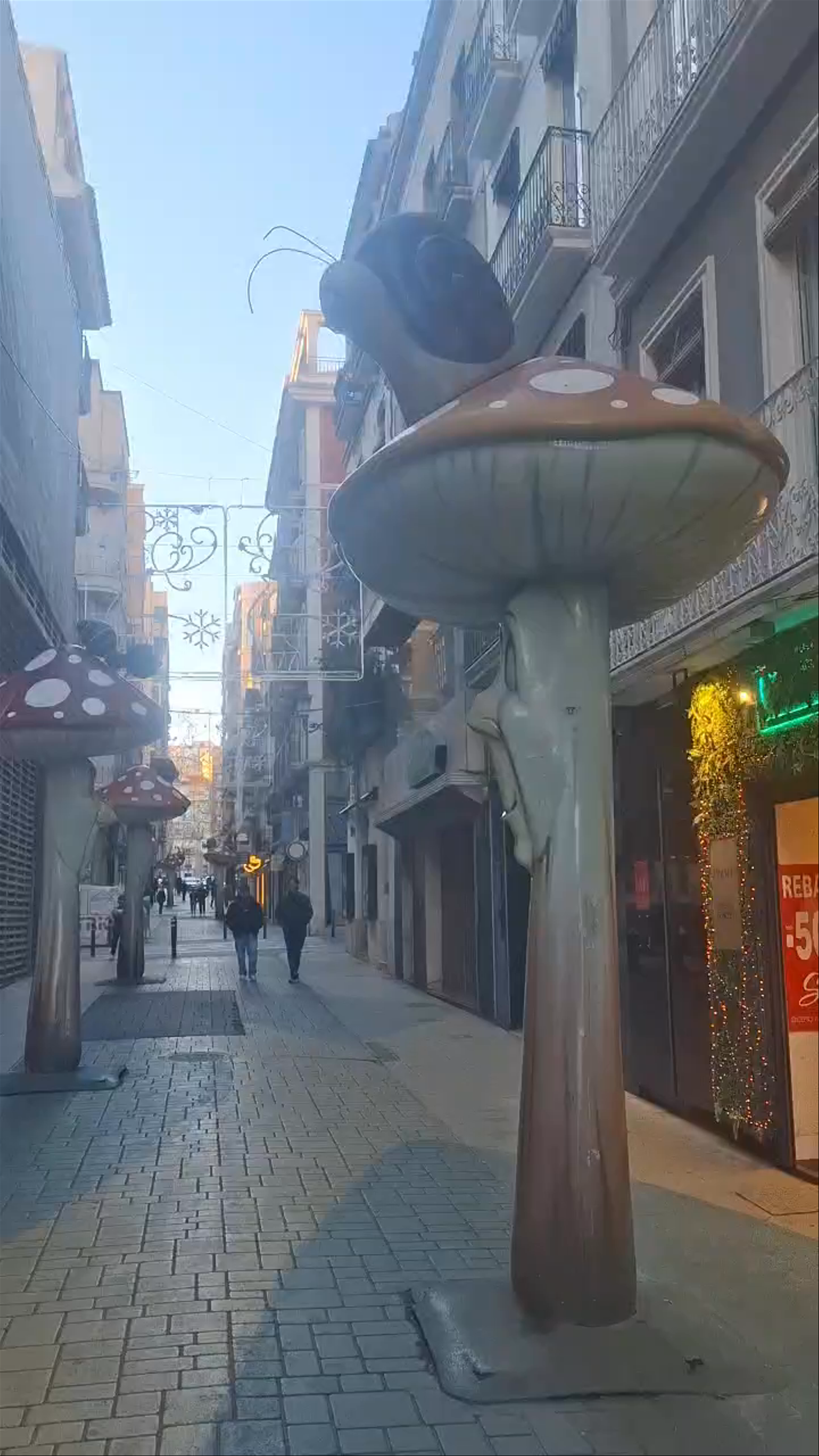 Calle de Las Setas