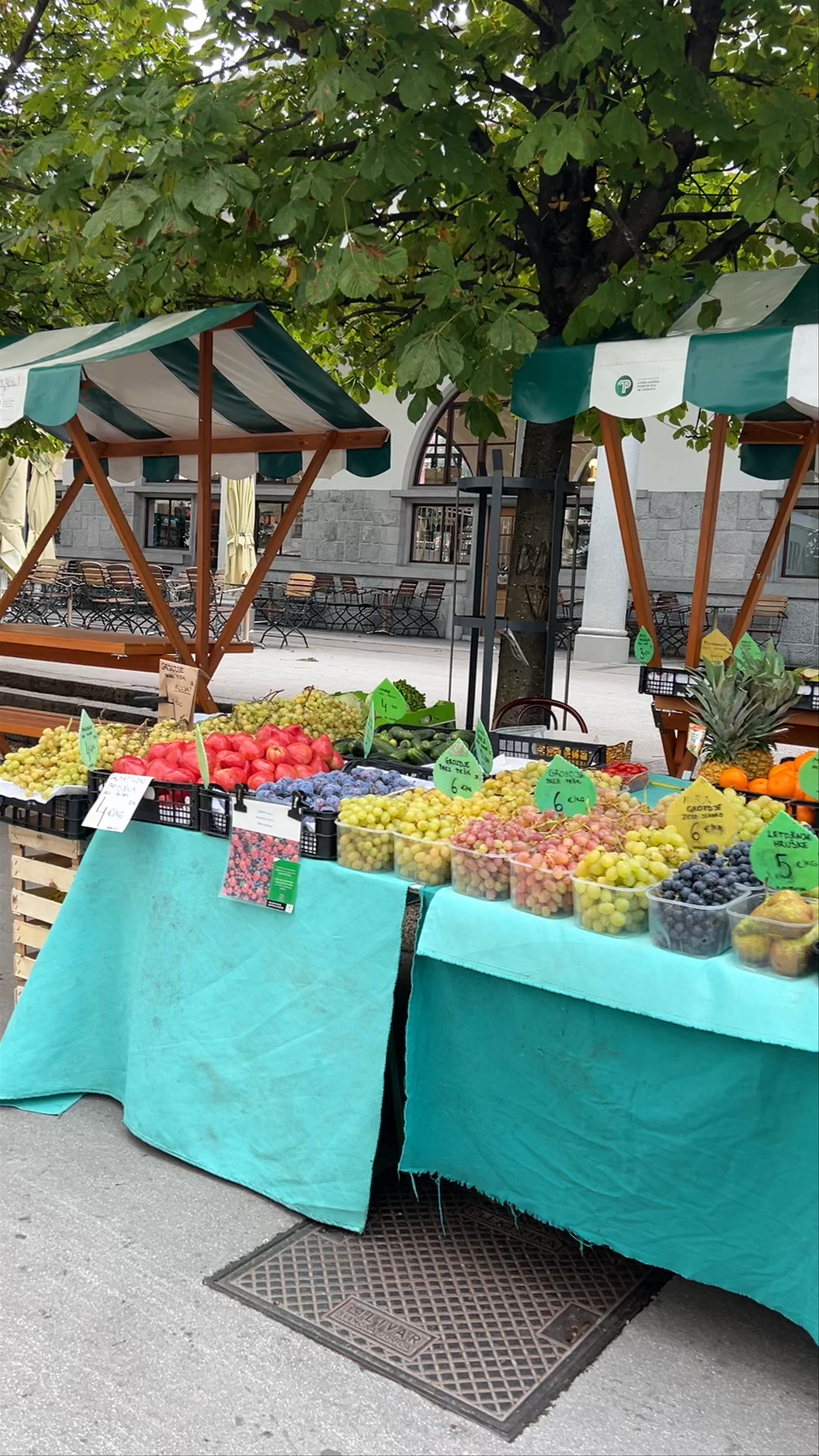Central Market: Local Flavors and Vibrant Scenes in Ljubljana