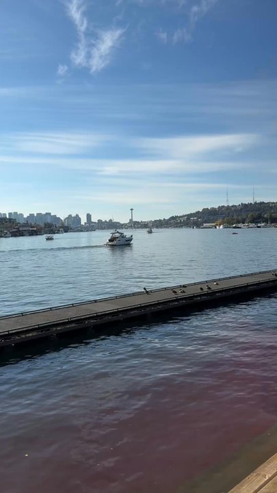 Ivar's Fish Bar - Seafood Near Me - Seattle, Washington
