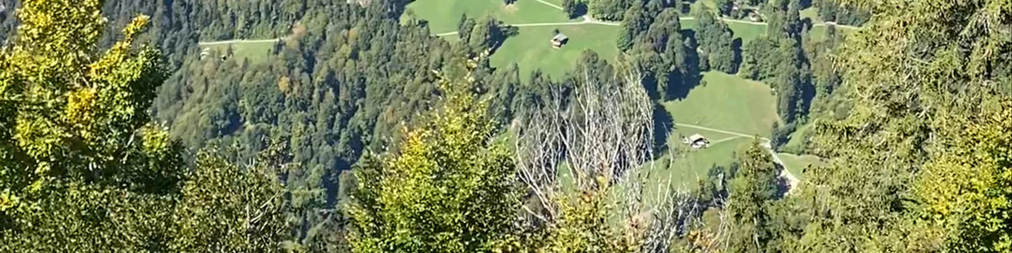 Harder Kulm