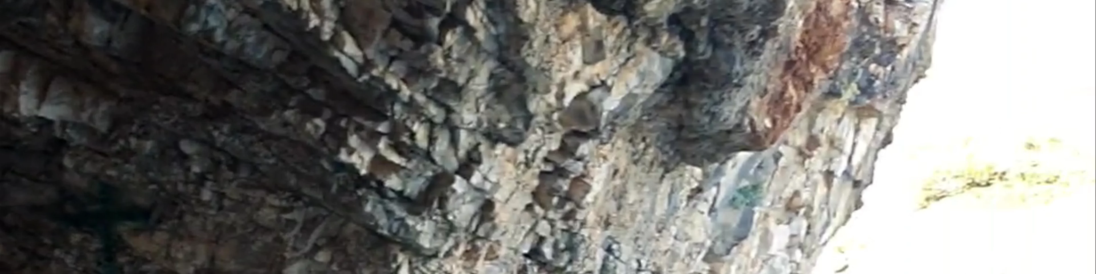 Paralia Lagkadakia