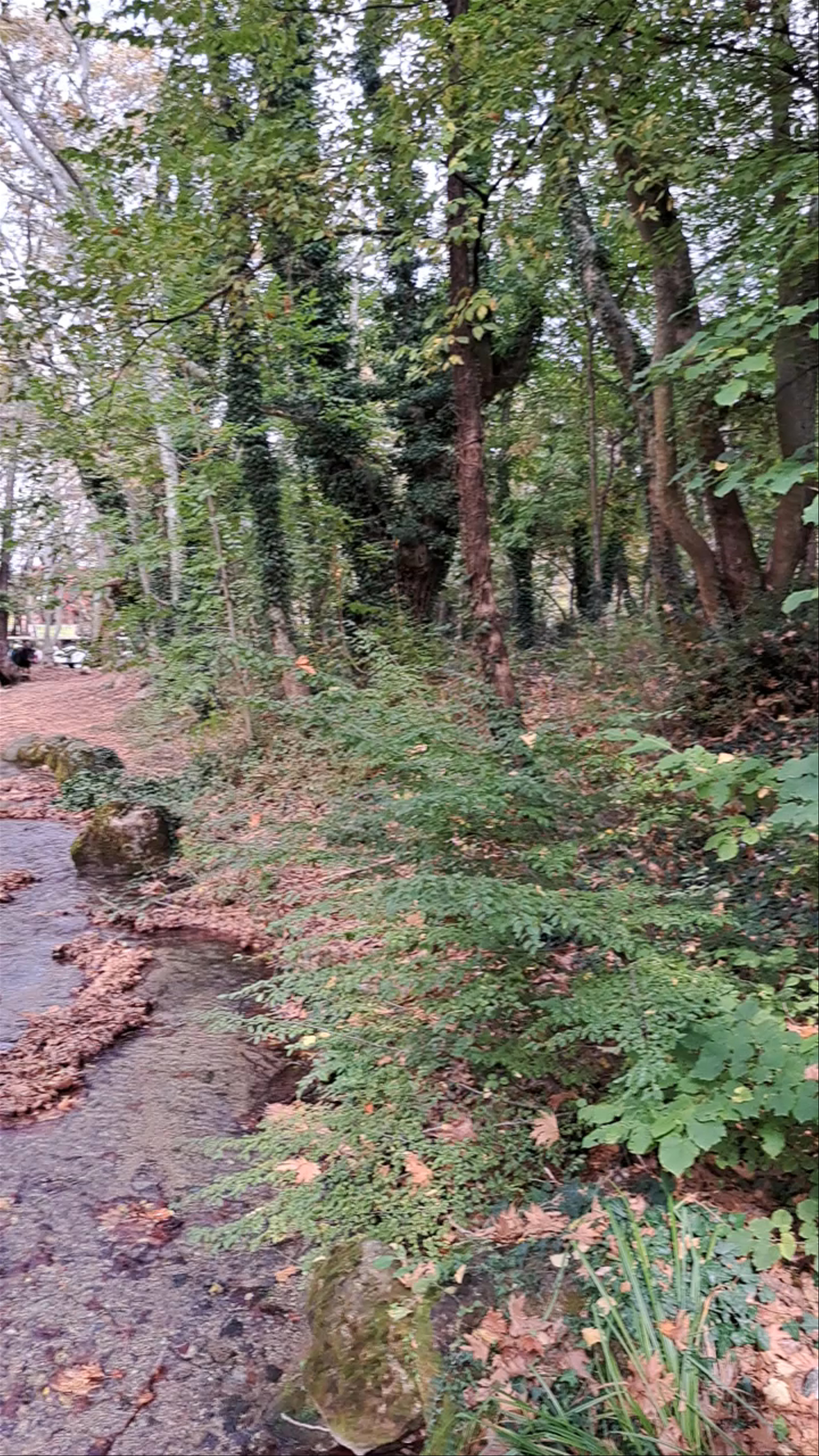 Δημοτικό Πάρκο Νάουσας