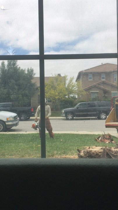 ELM Tree Care - Tree Services Near Me - Temecula, California