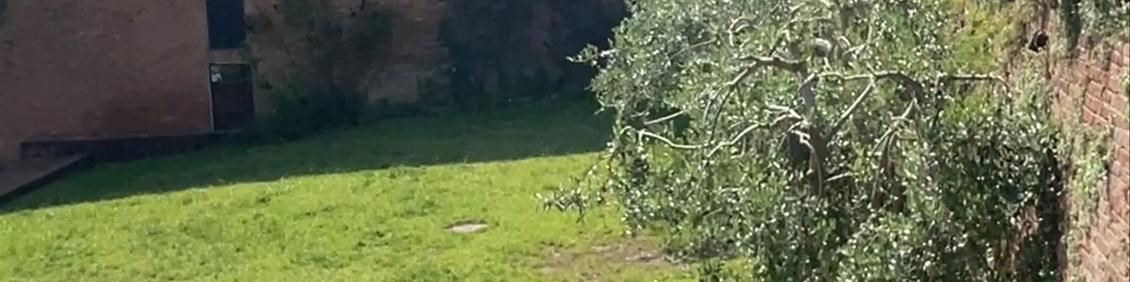 Fonte Nuova D'Ovile