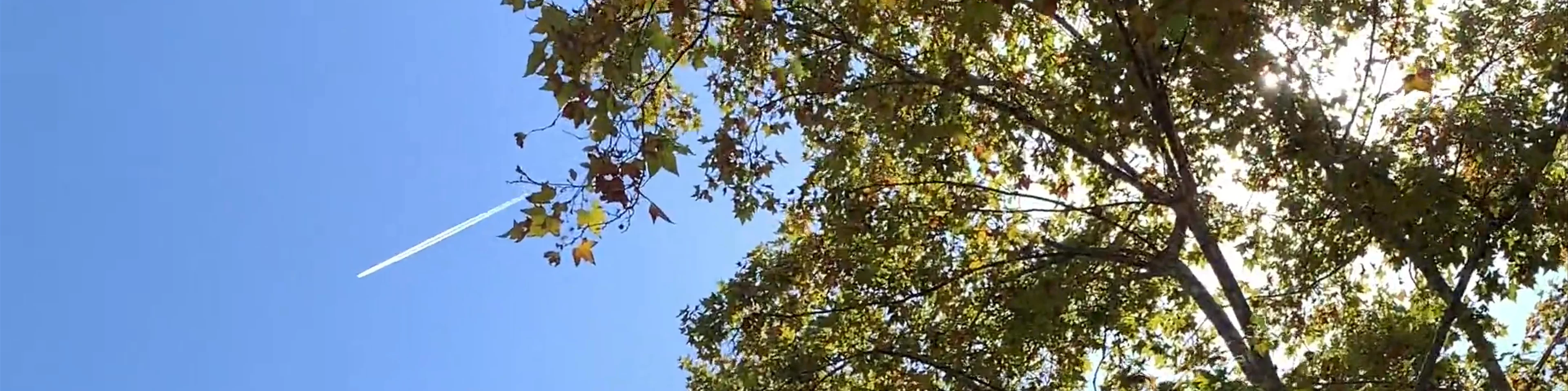 La