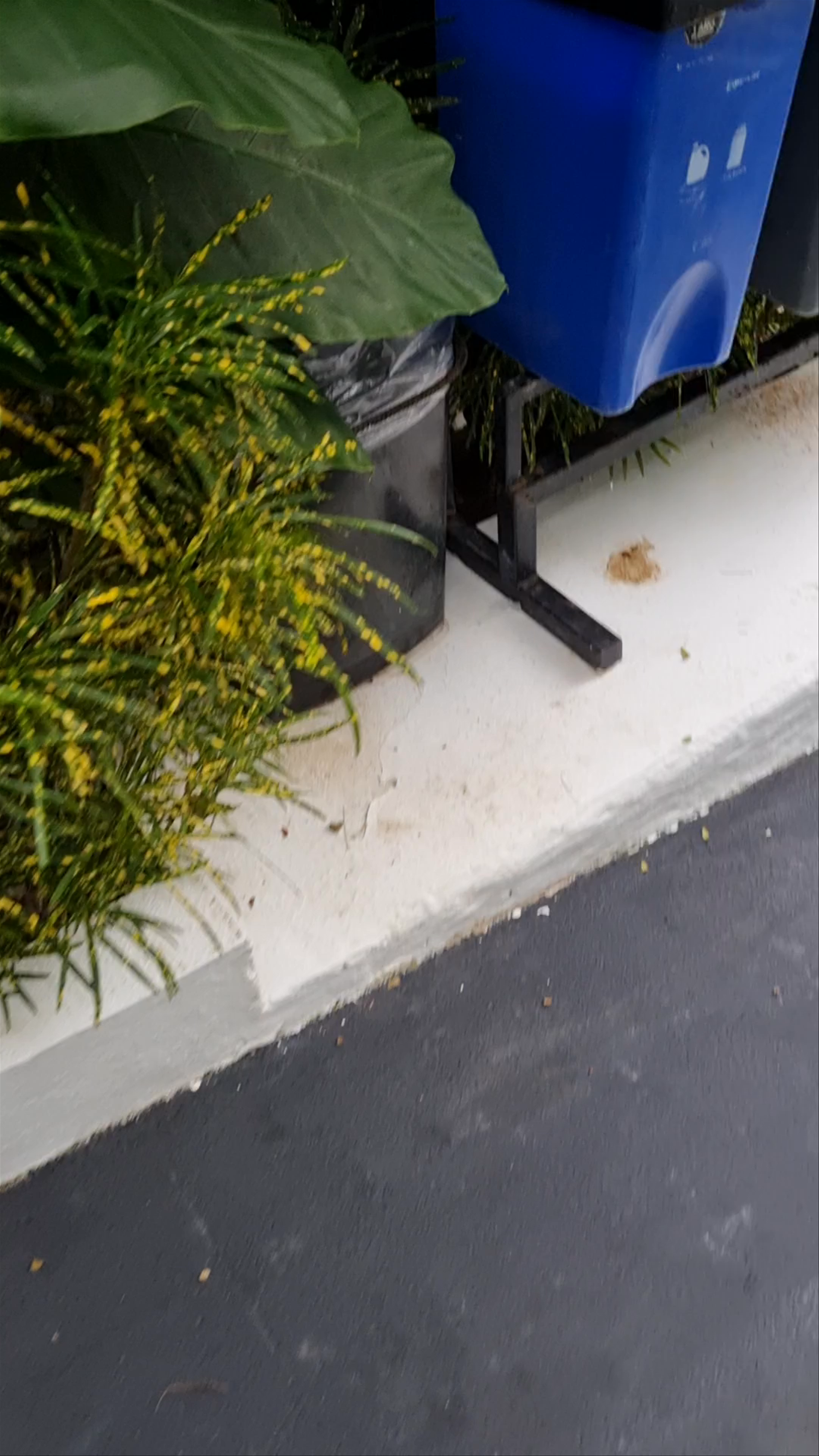 La Vela Boutique Hotel