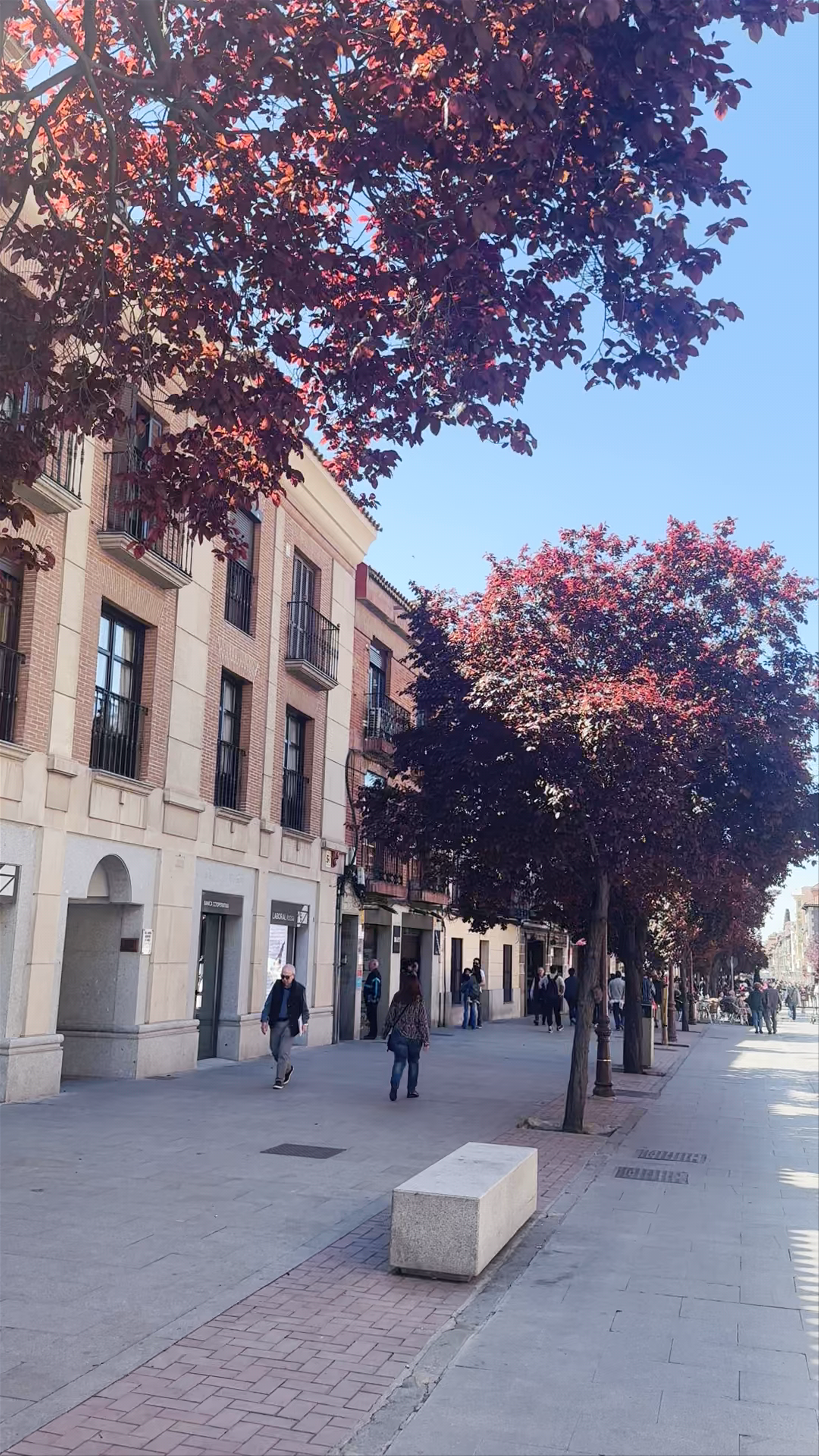 Parroquia Santa María la Mayor
