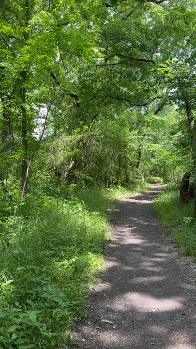 Elm Fork Nature Preserve - Hiking Near Me - Carrollton, Texas