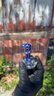 Small image 0