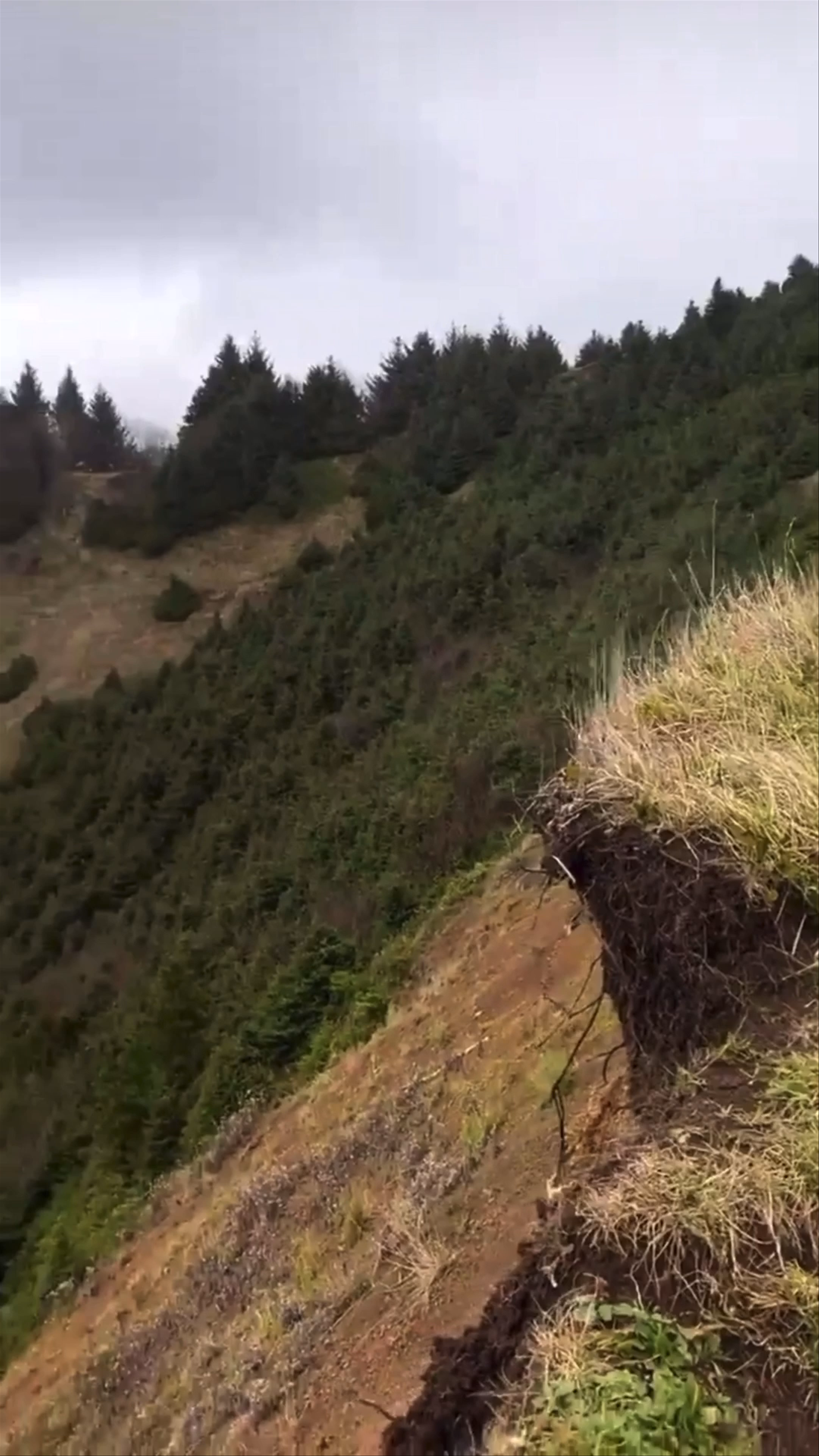 Cannon beach access point