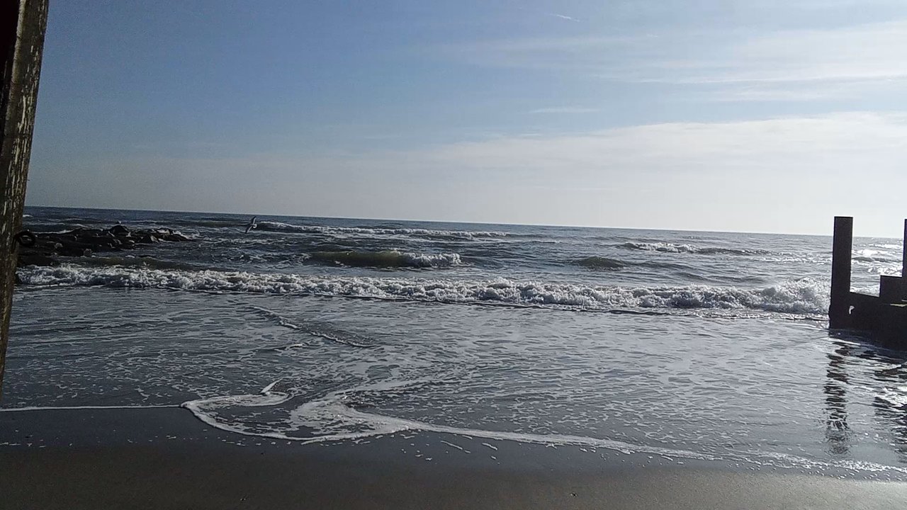 Parsons Seafood - Seafood Markets Near Me - Tuckerton, New Jersey