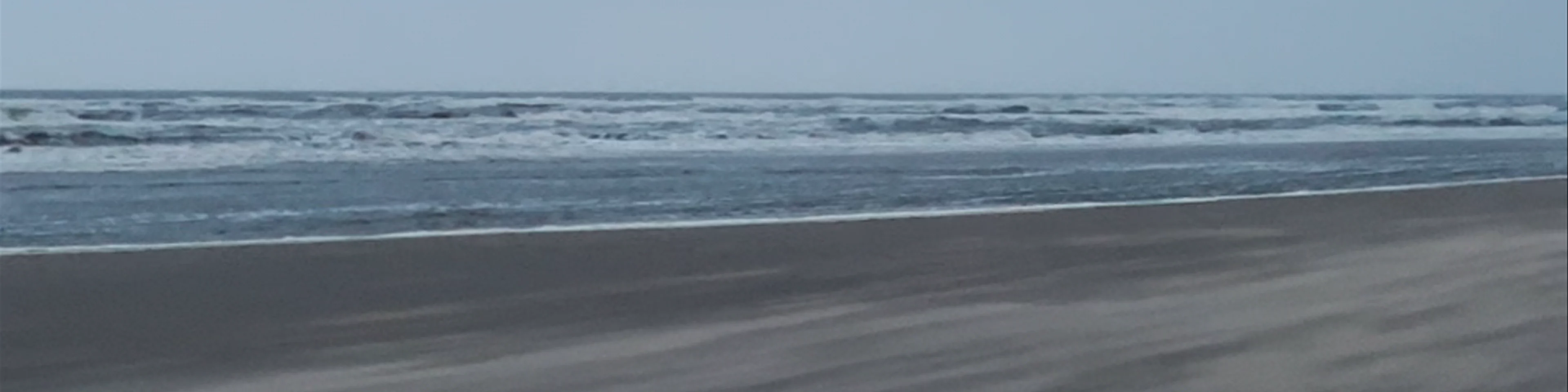 Beach Bloemendaal