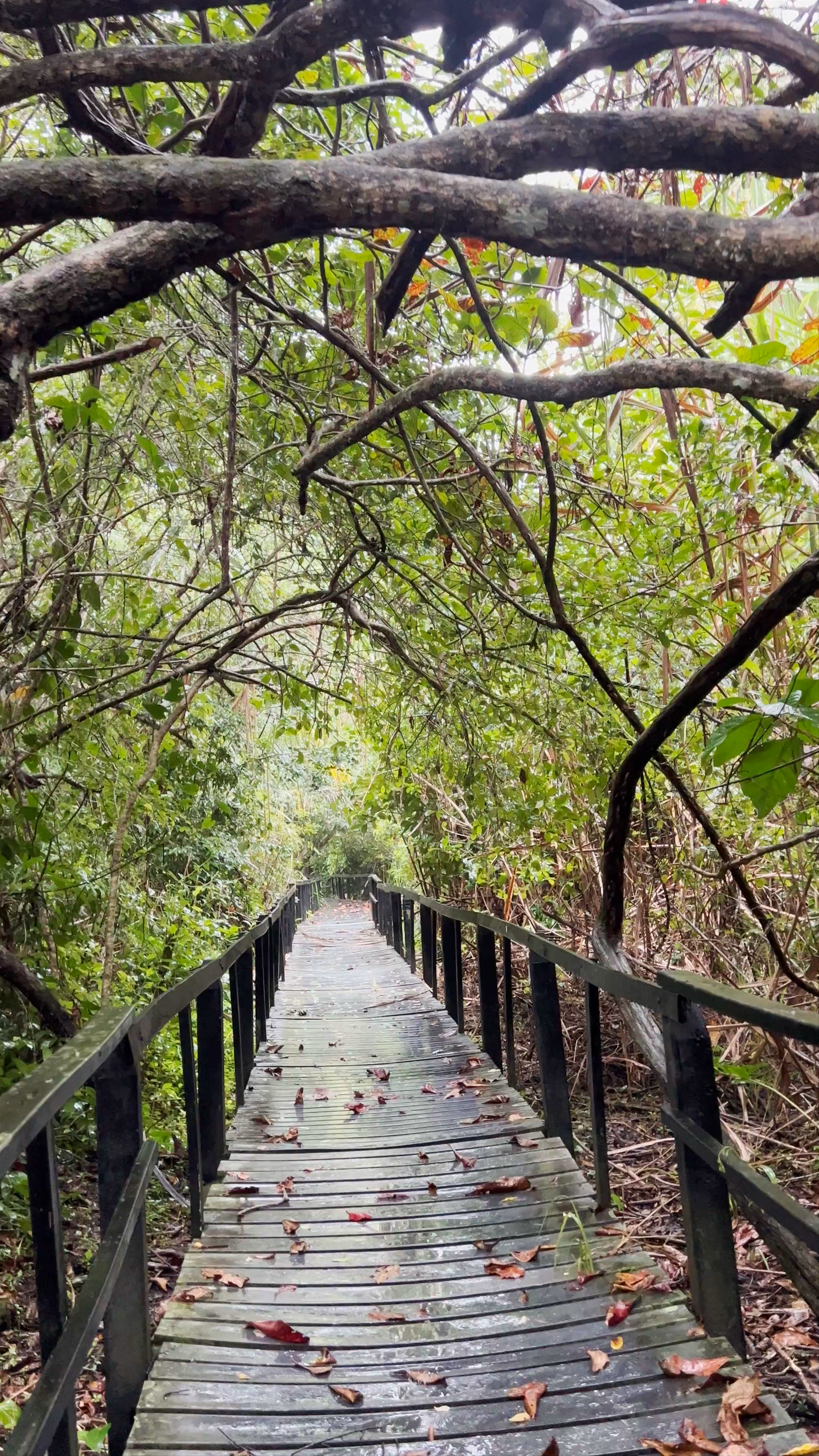 Cahuita National Park