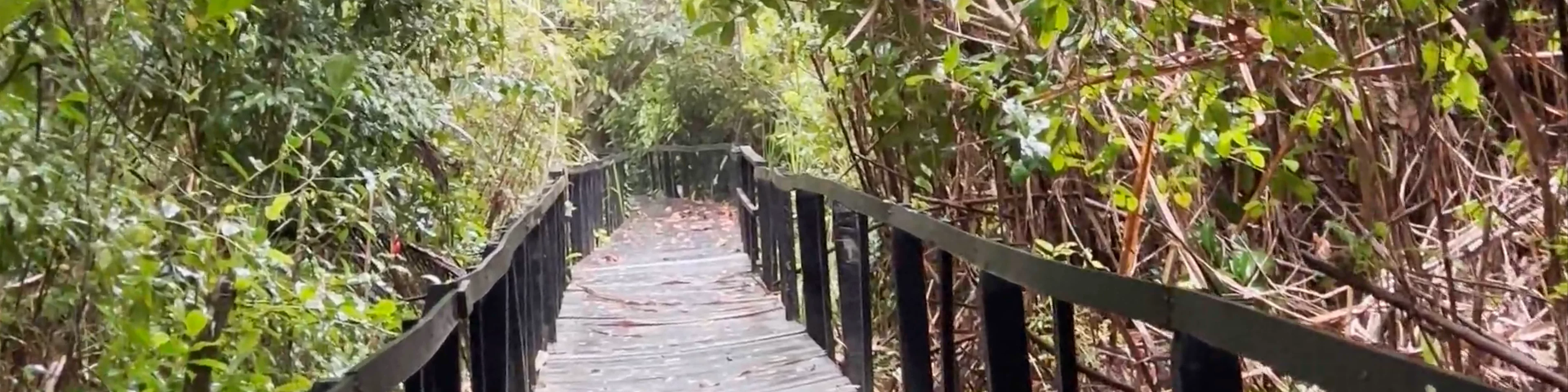 Cahuita National Park