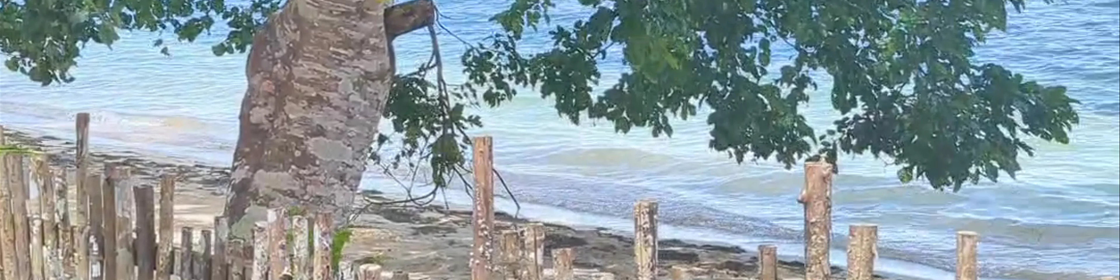 Lagkaw Siargao Villas Beach Resort