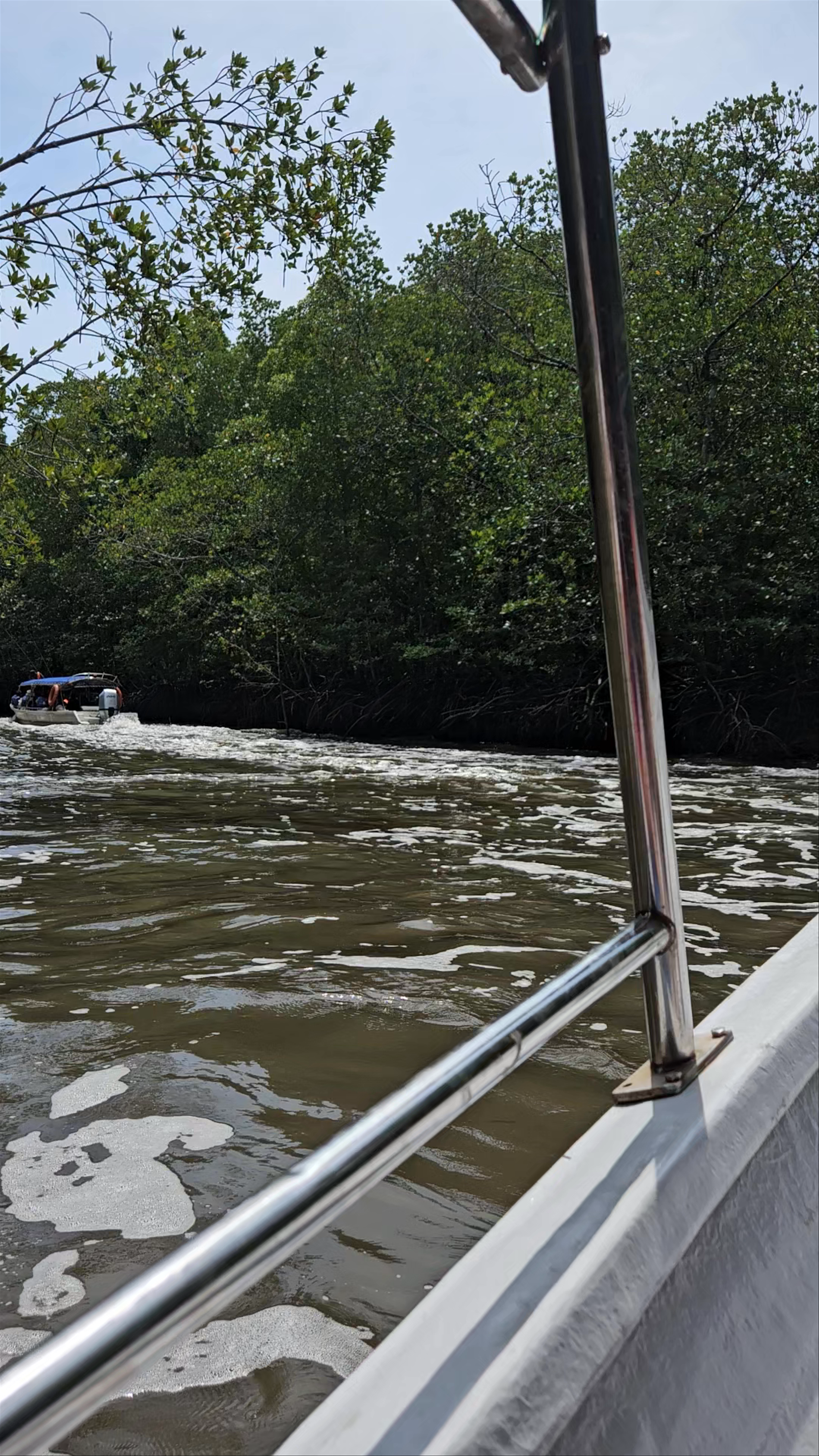 Kilim Geoforest Park: Mangrove River Tour in Langkawi, Malaysia