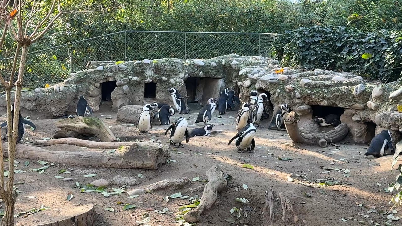 Zoo Basel - Zoos Near Me - Basle, BS