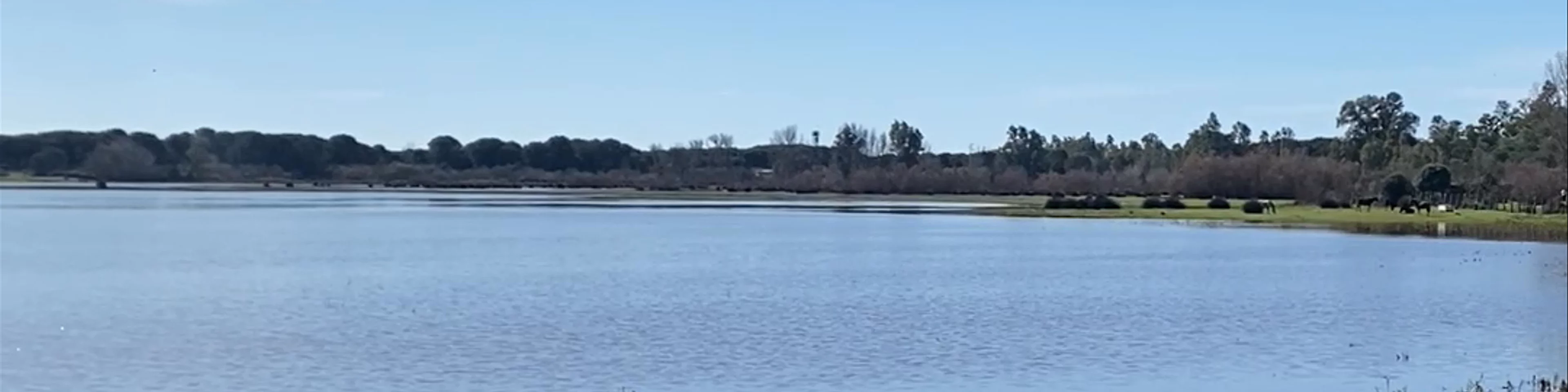 Marisma del Rocio