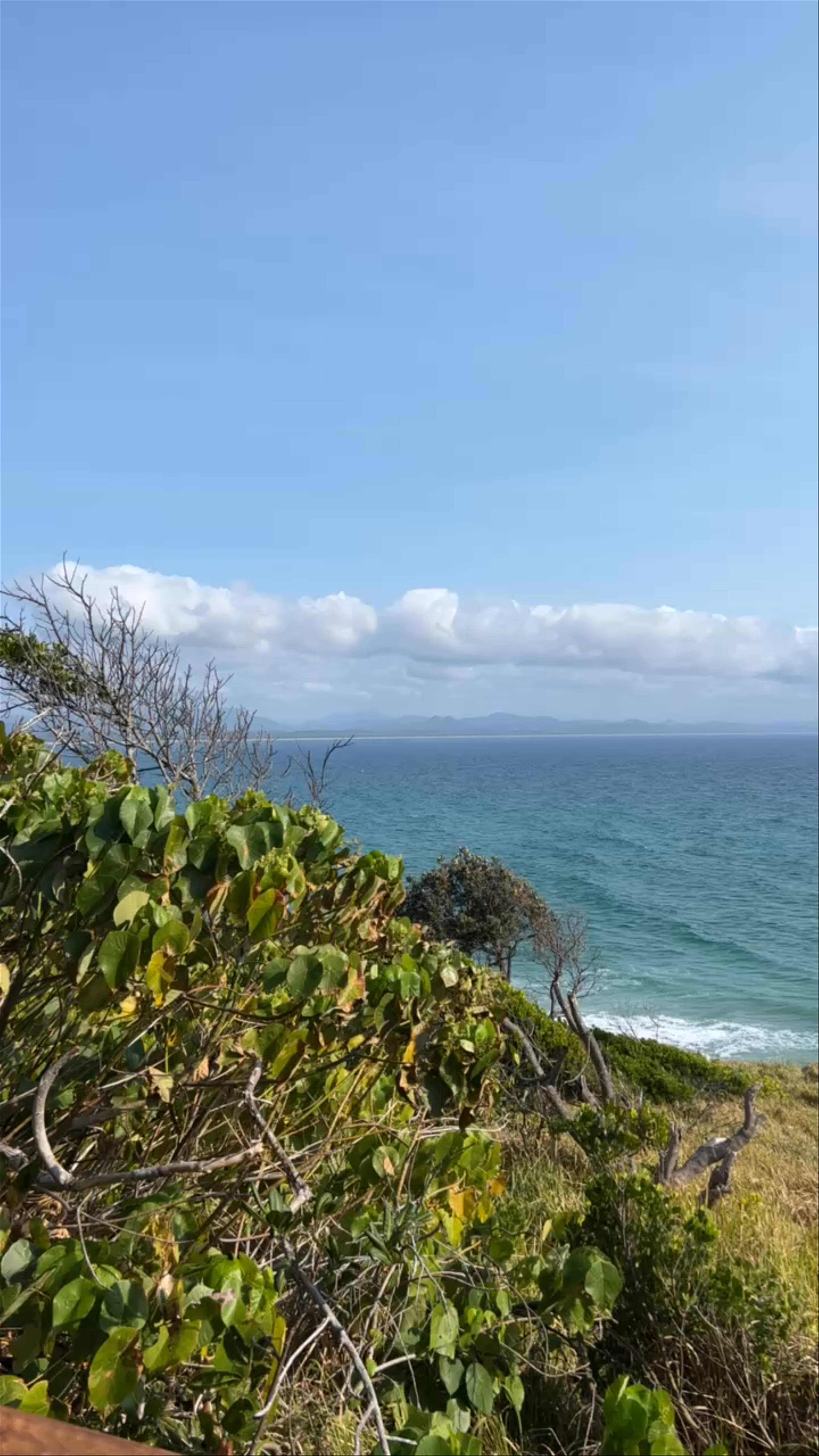 Little Wategos Beach