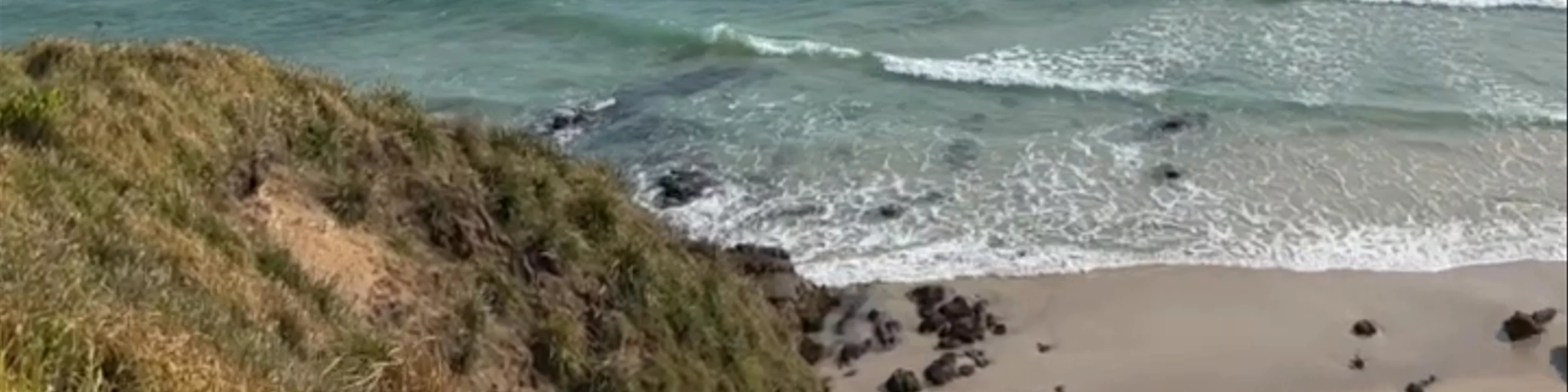 Little Wategos Beach