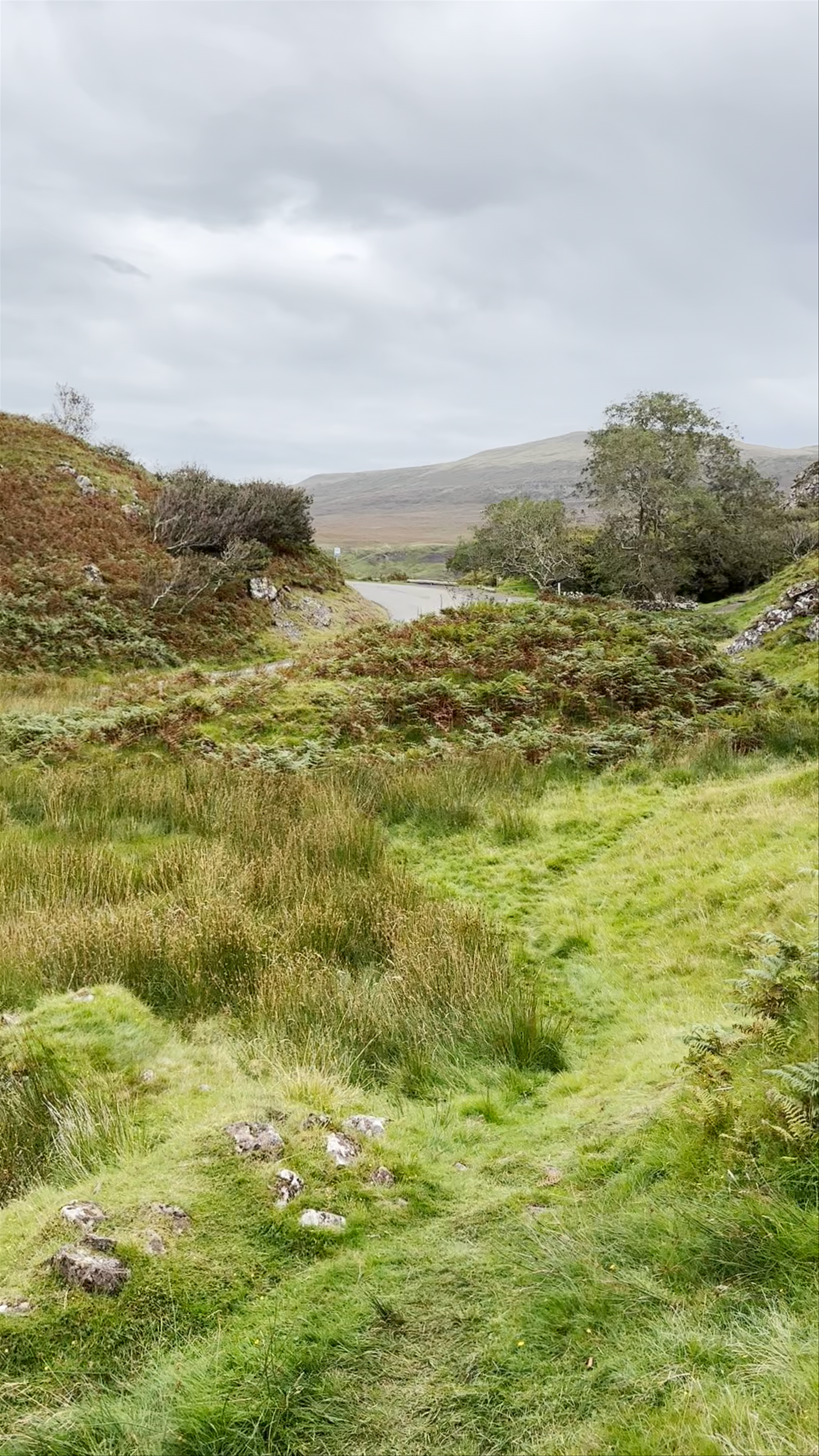 The Fairy Glen
