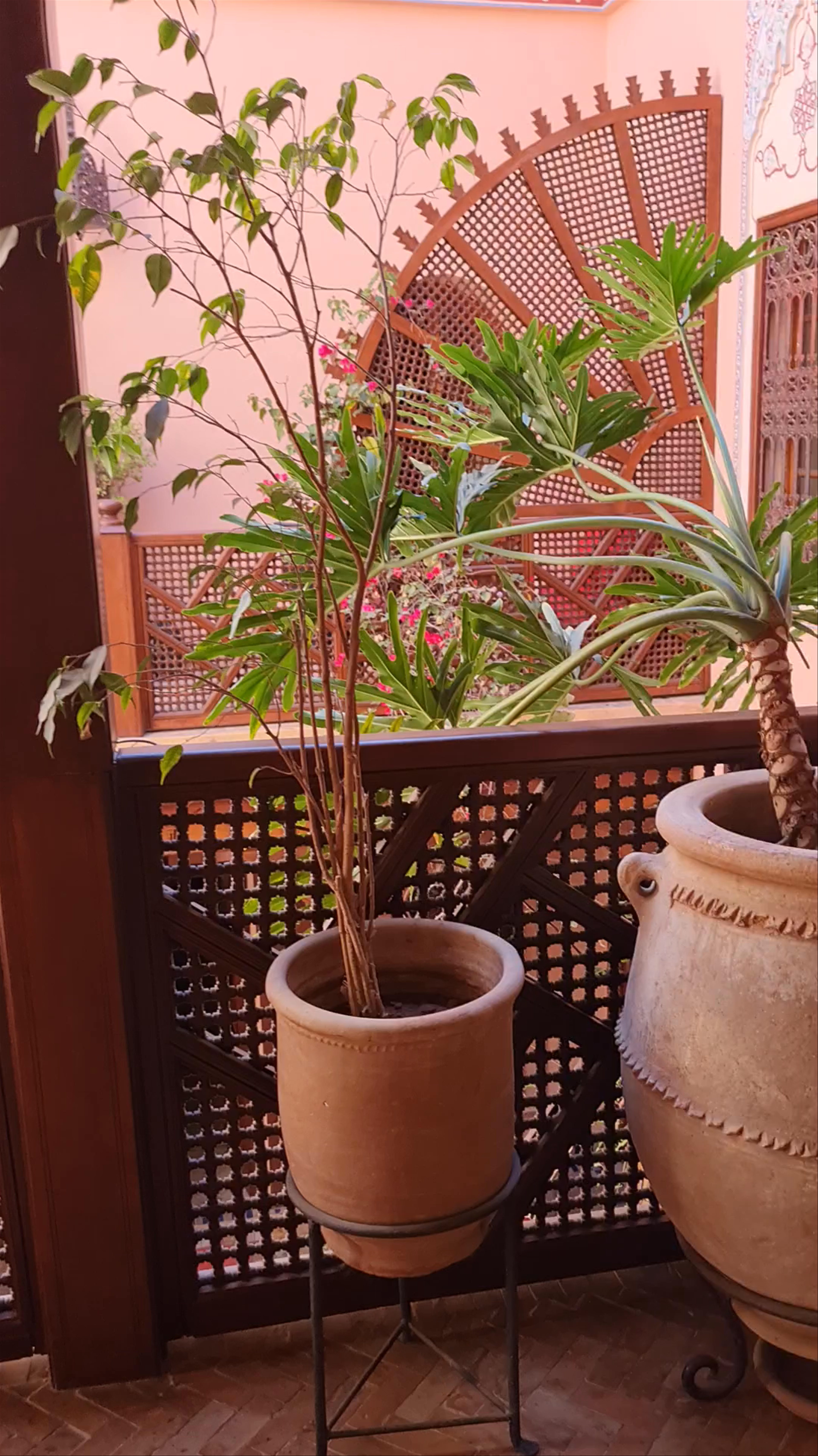 Tranquil Courtyard at Hotel La Maison Arabe, Marrakesh