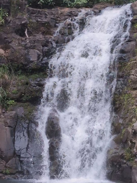Oahu Nature Tours - Tours Near Me - Honolulu, Hawaii