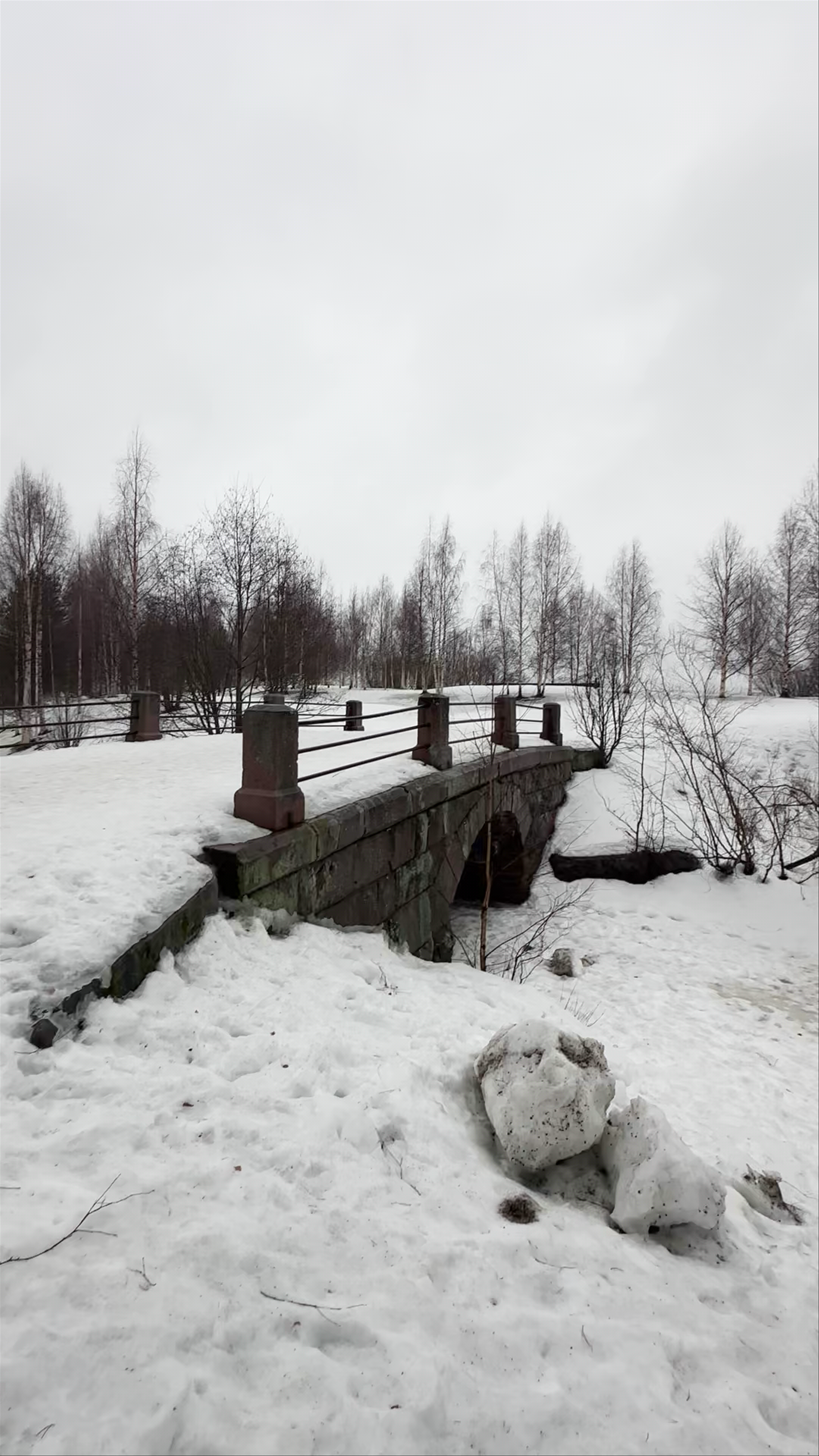 Winter Serenity at Arktikum Arboretum, Rovaniemi