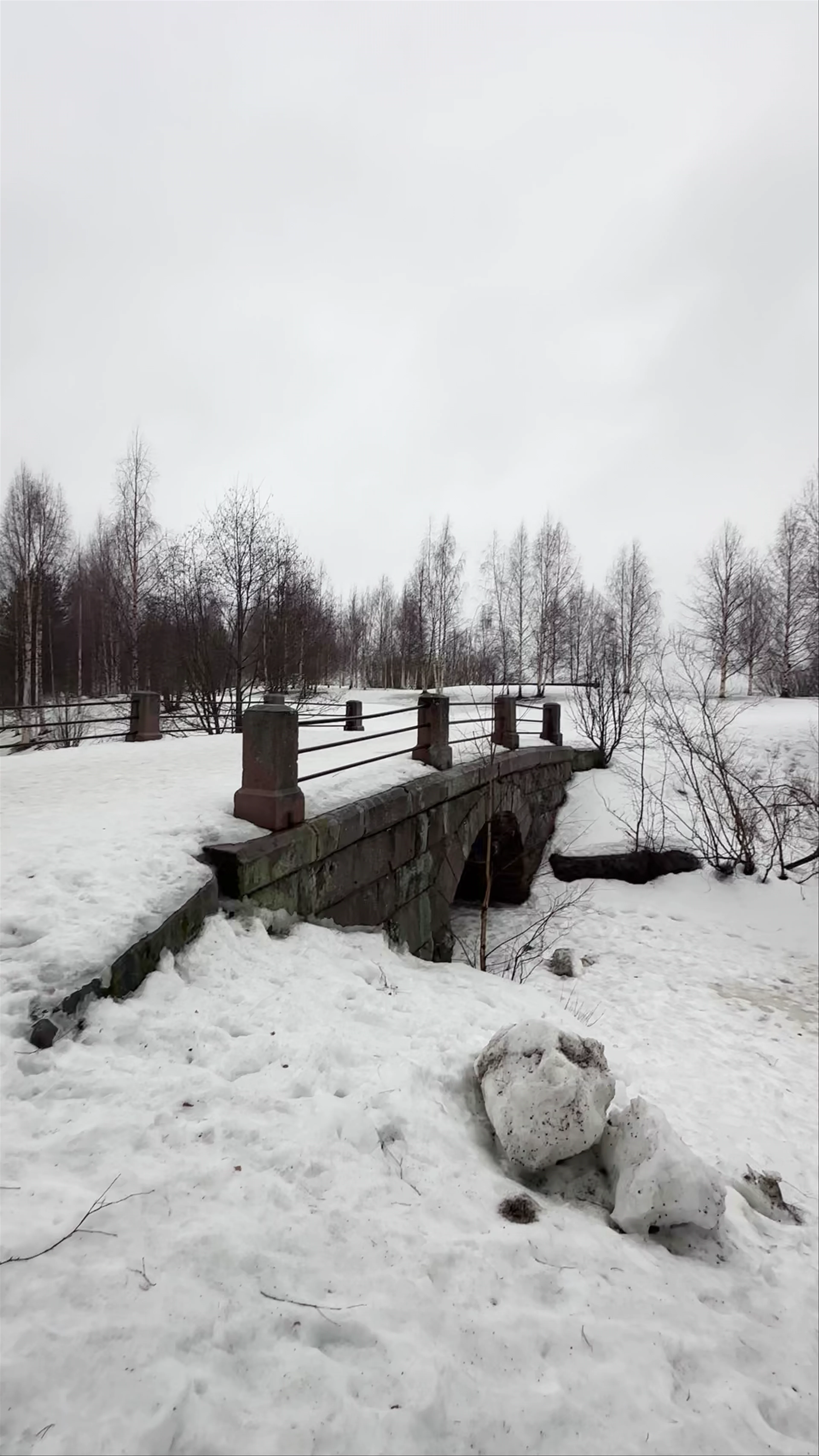Arktikum Arboretum