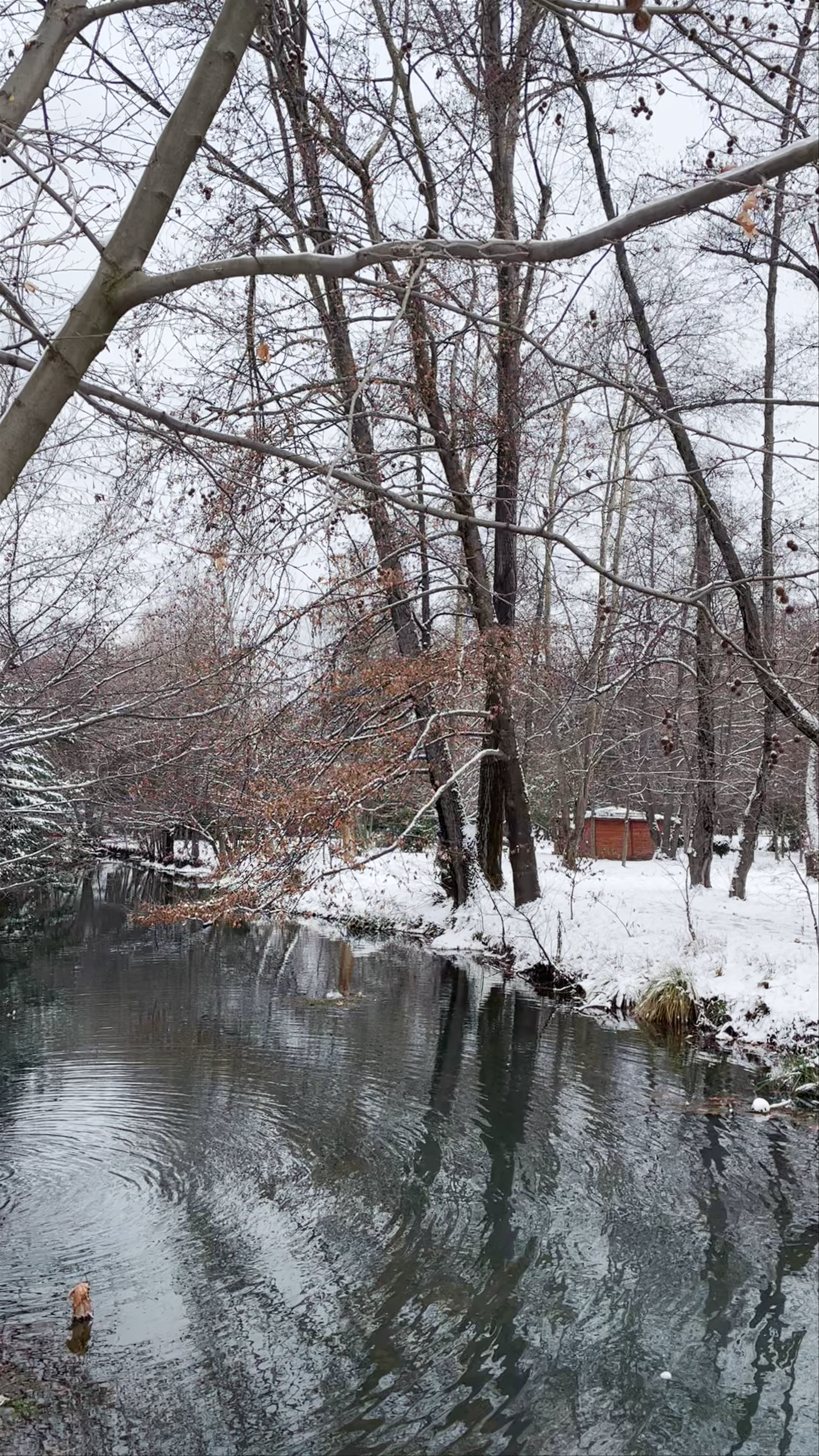 National Park of Drilon