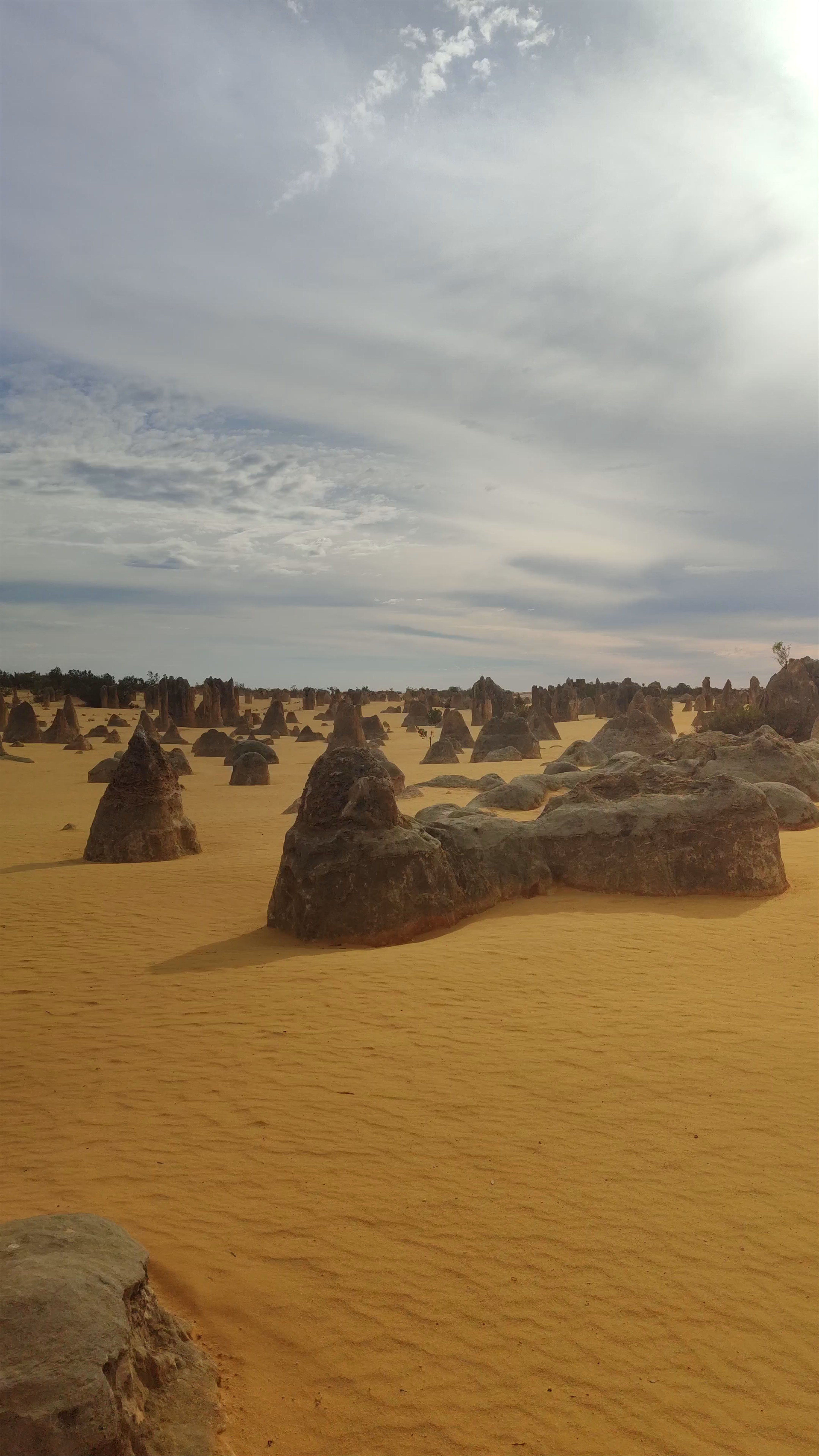 The Pinnacles Desert