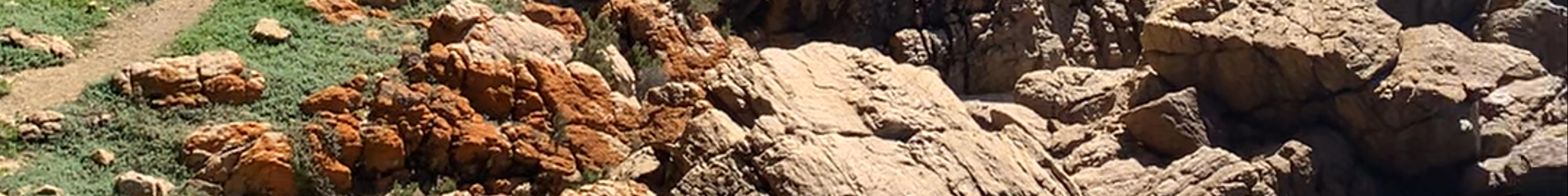 Tours & experiences in Mossel Bay