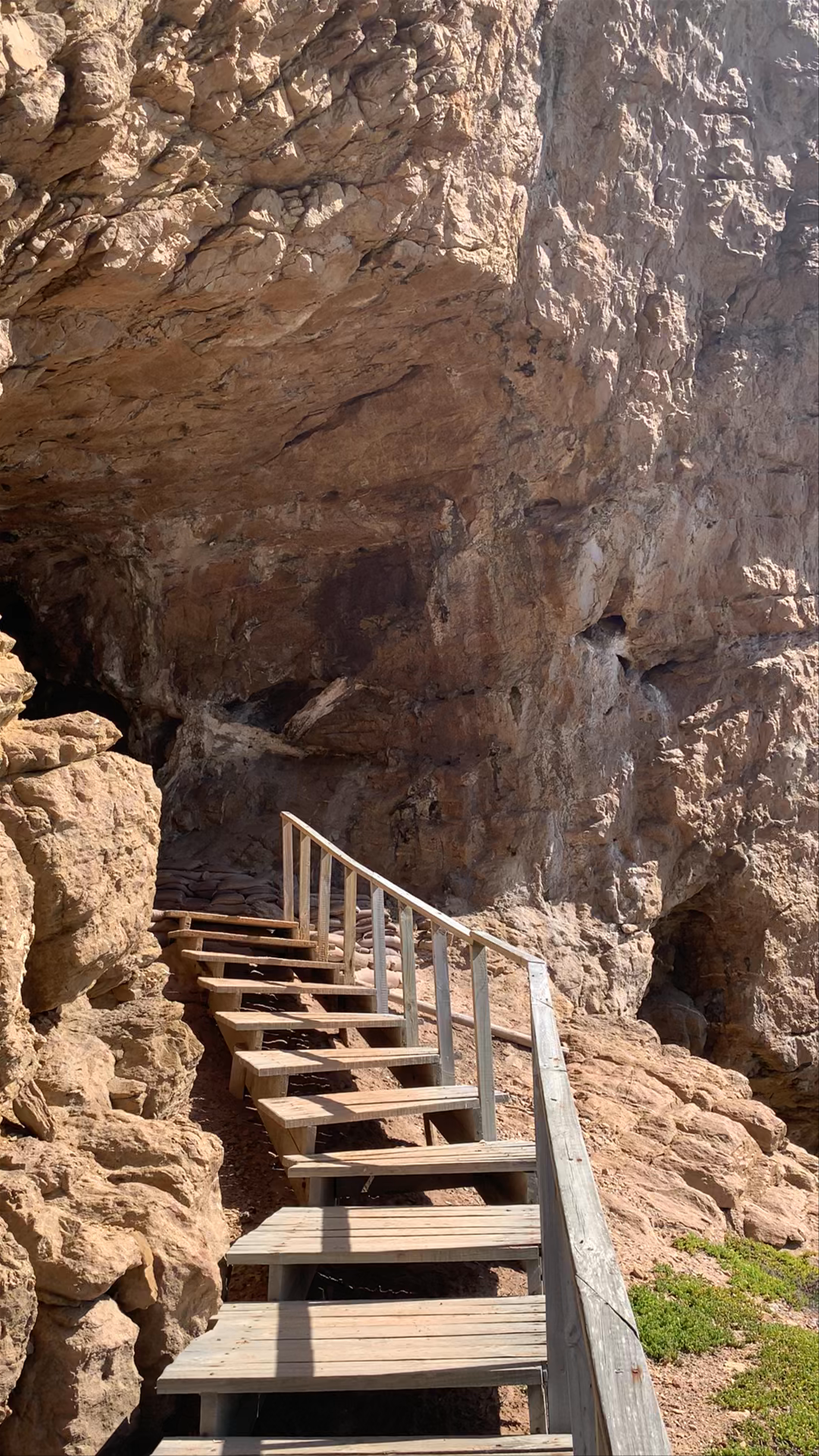 Point of Human Origins