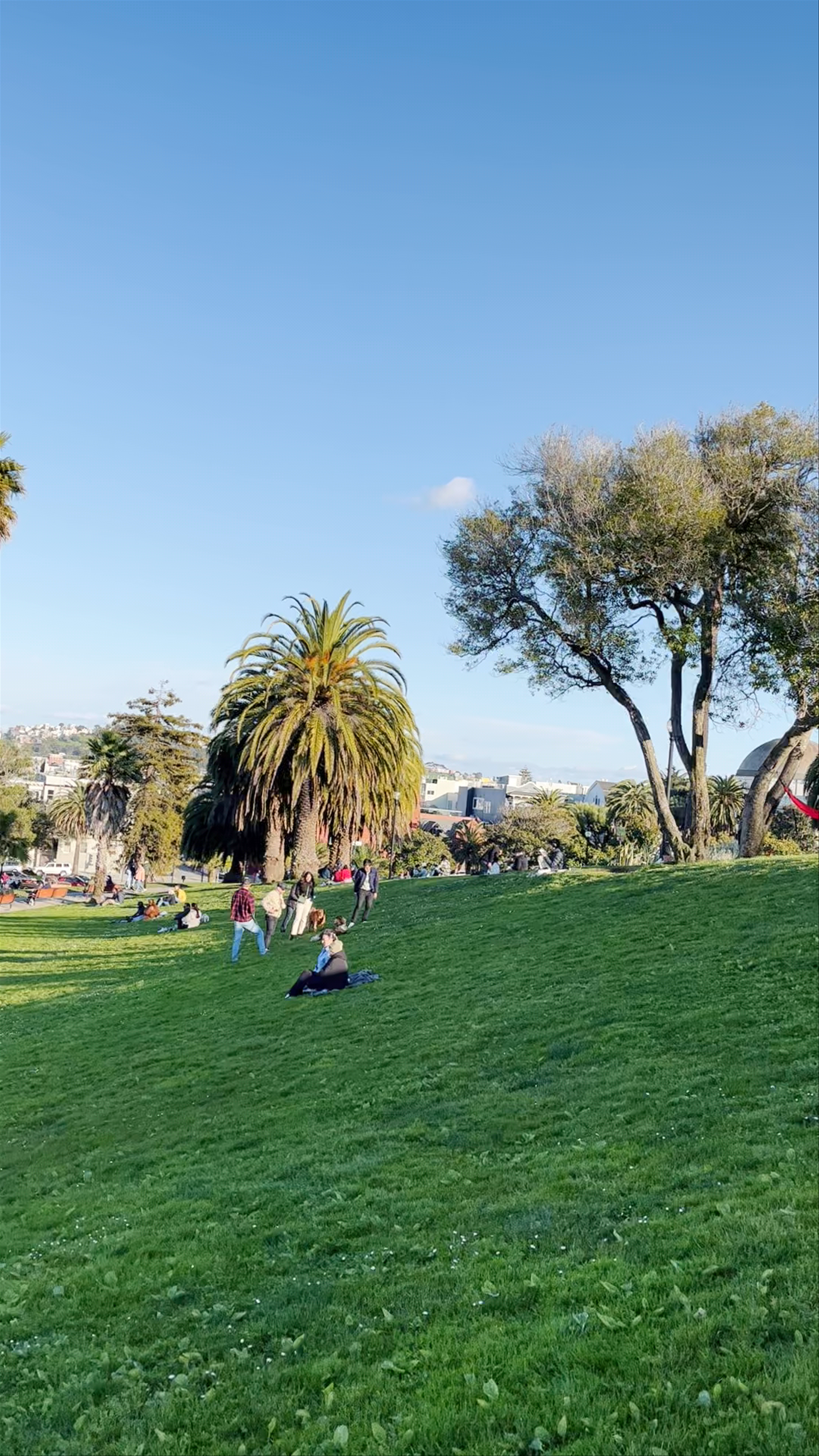 Helen Diller Playground: A Sunny Urban Retreat in San Francisco