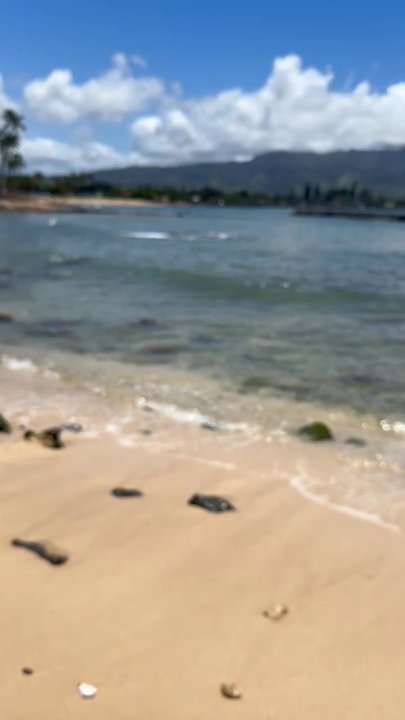 Turtle Beach - Beaches Near Me - Haleiwa, Hawaii