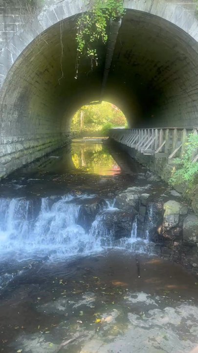 Corbett's Glen Nature Park - Hiking Near Me - Rochester, New York