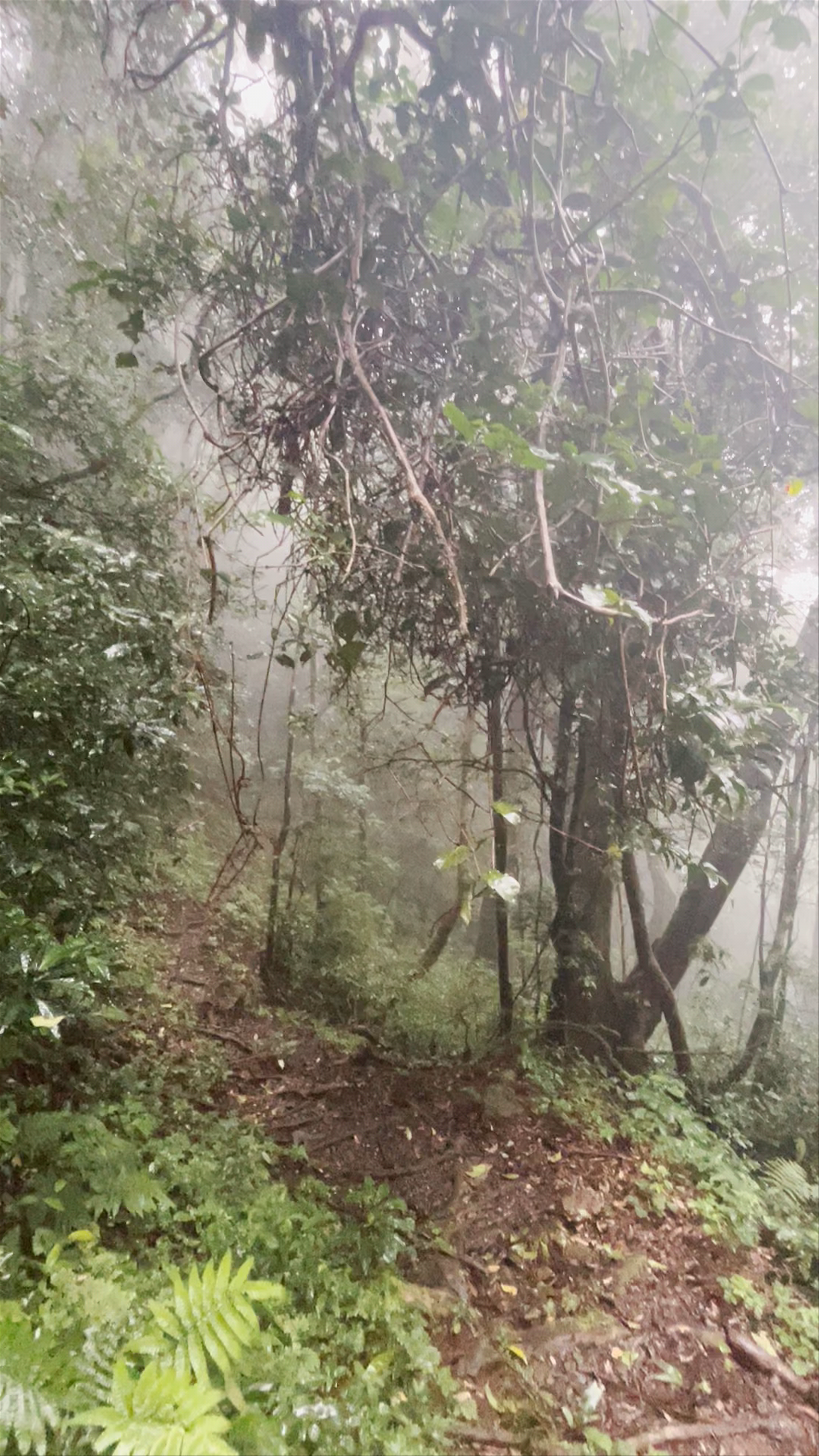 Lost and Found Hostel