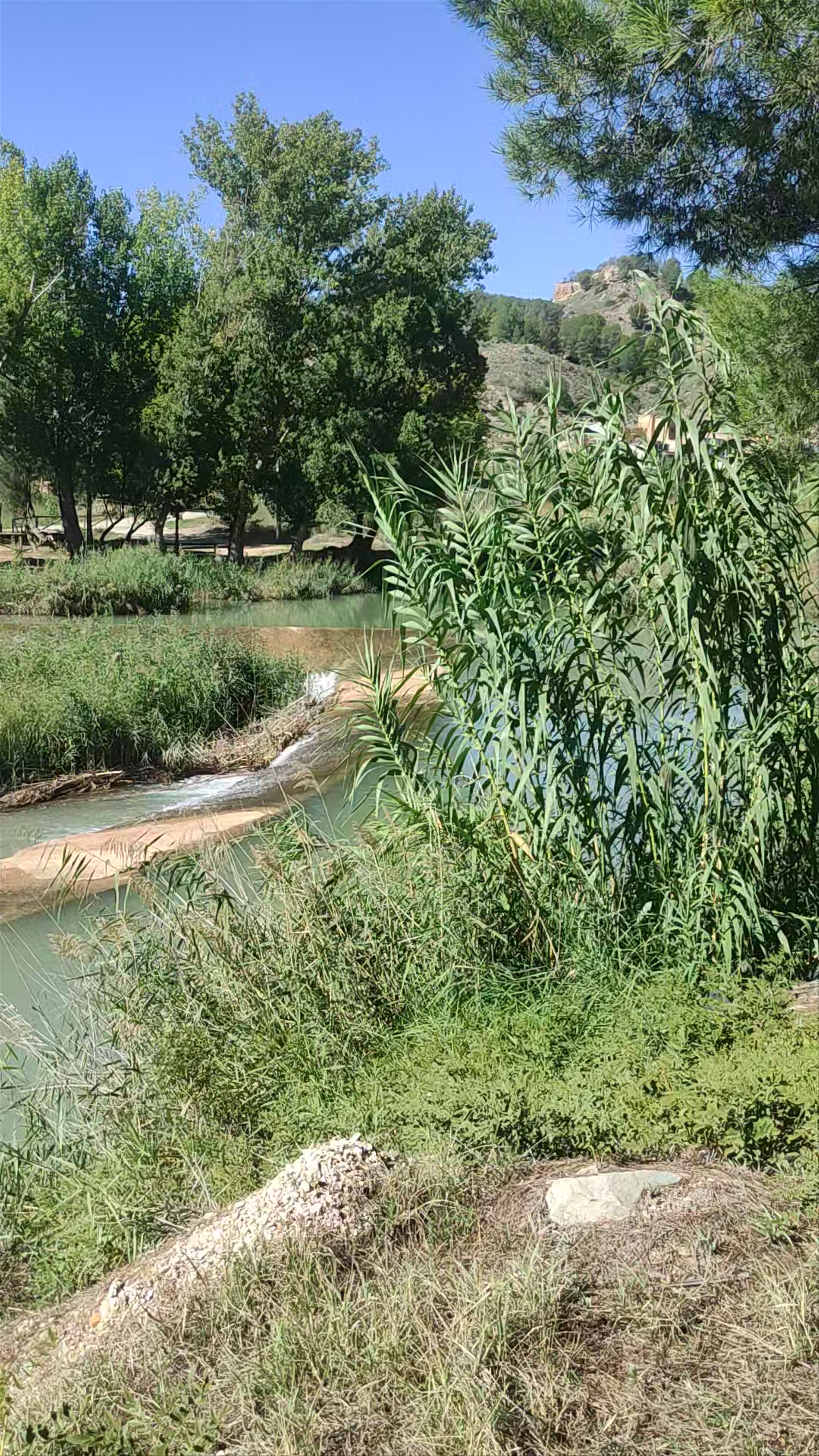 Río Cabriel: A Serene Escape into Spain's Lush River Valley