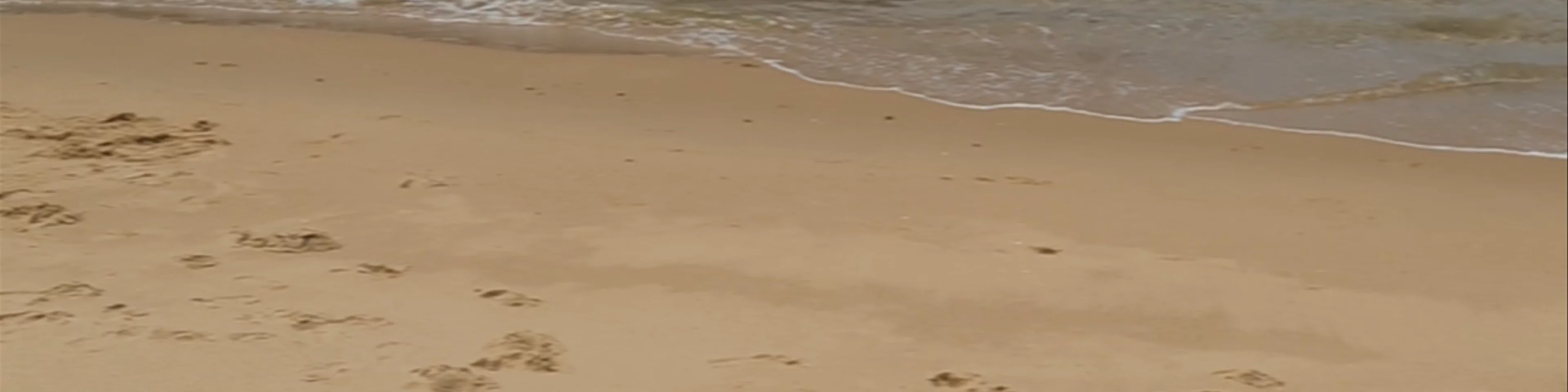 Steamers Beach