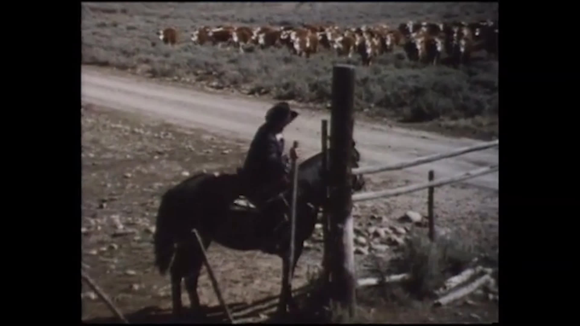 A cowboy rides along a dirt road beside a grazing cattle herd, then stops at a ranch fence and leads his horse on foot. The song’s lyrics reference Montana and a tavern cafe, while the landscape remains open and rugged.
