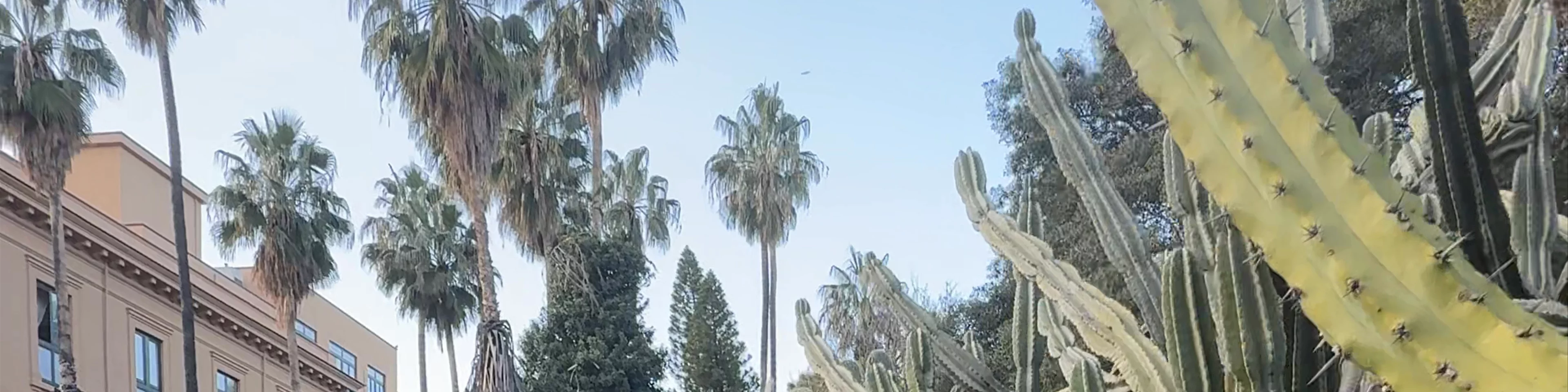 Orto Botanico di Palermo