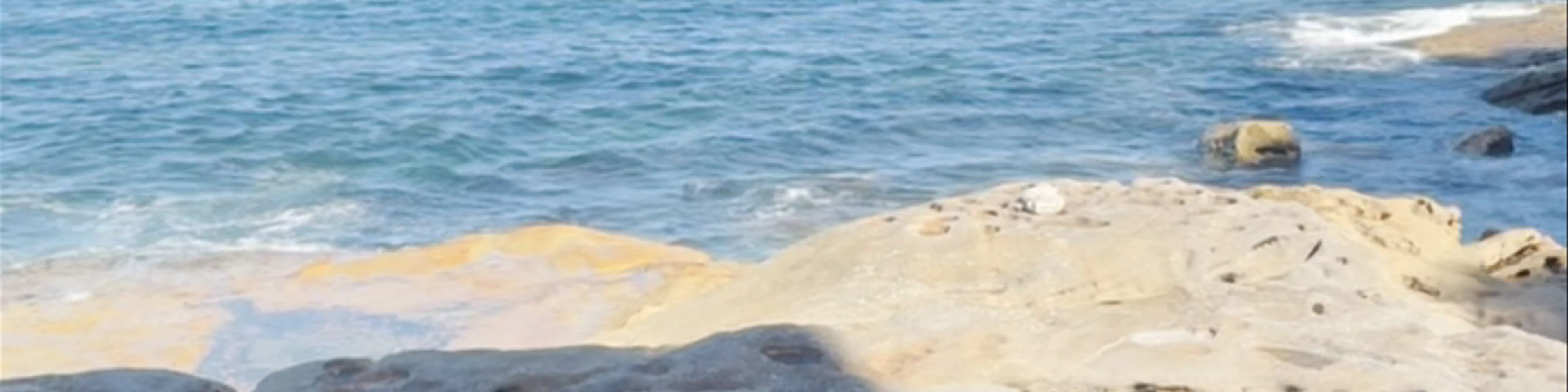 Bondi to Bronte Coastal Walk