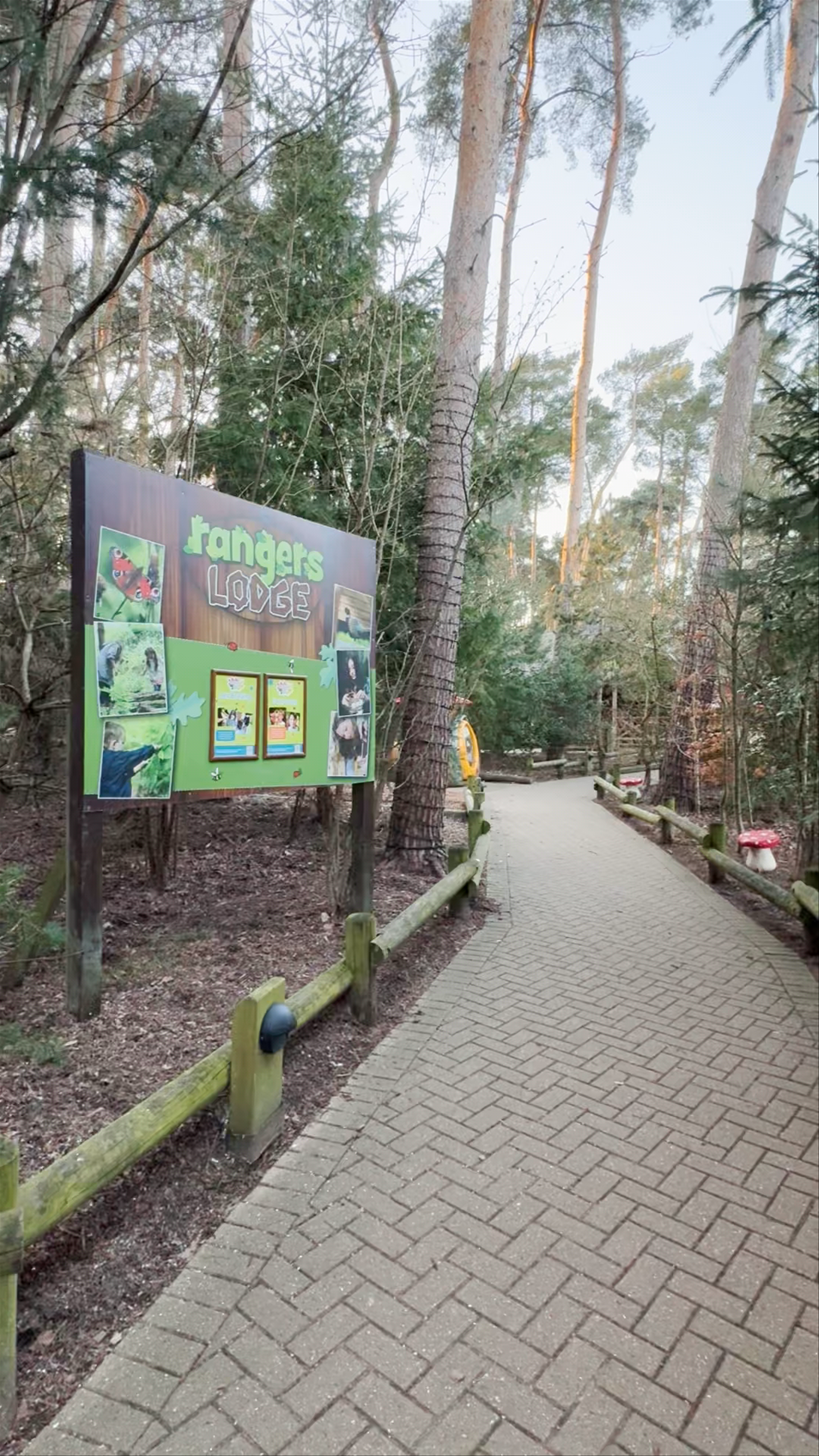 Center Parcs Woburn Enchanted Light Trail