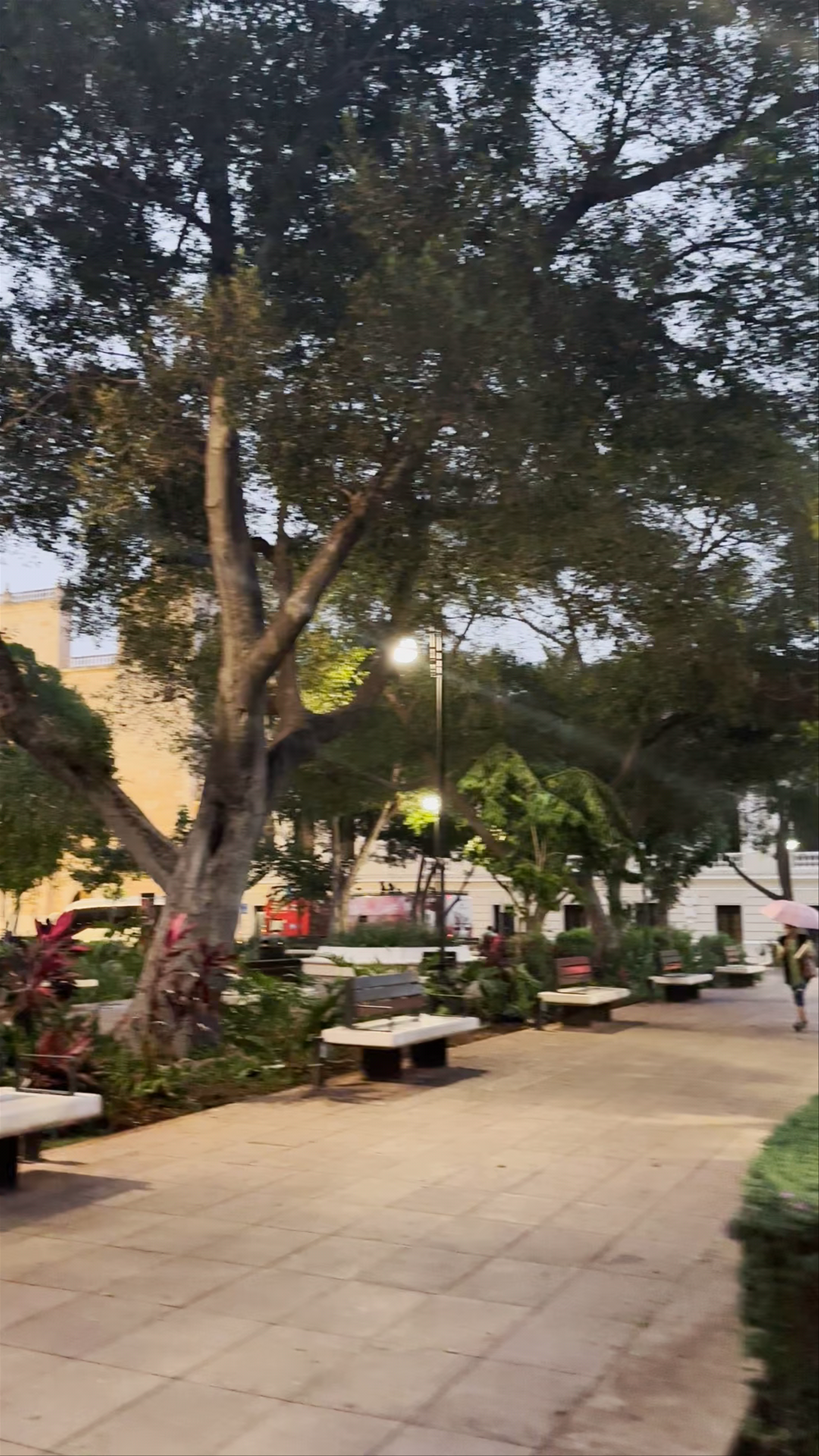Plaza Principal de Mérida "Plaza Grande"